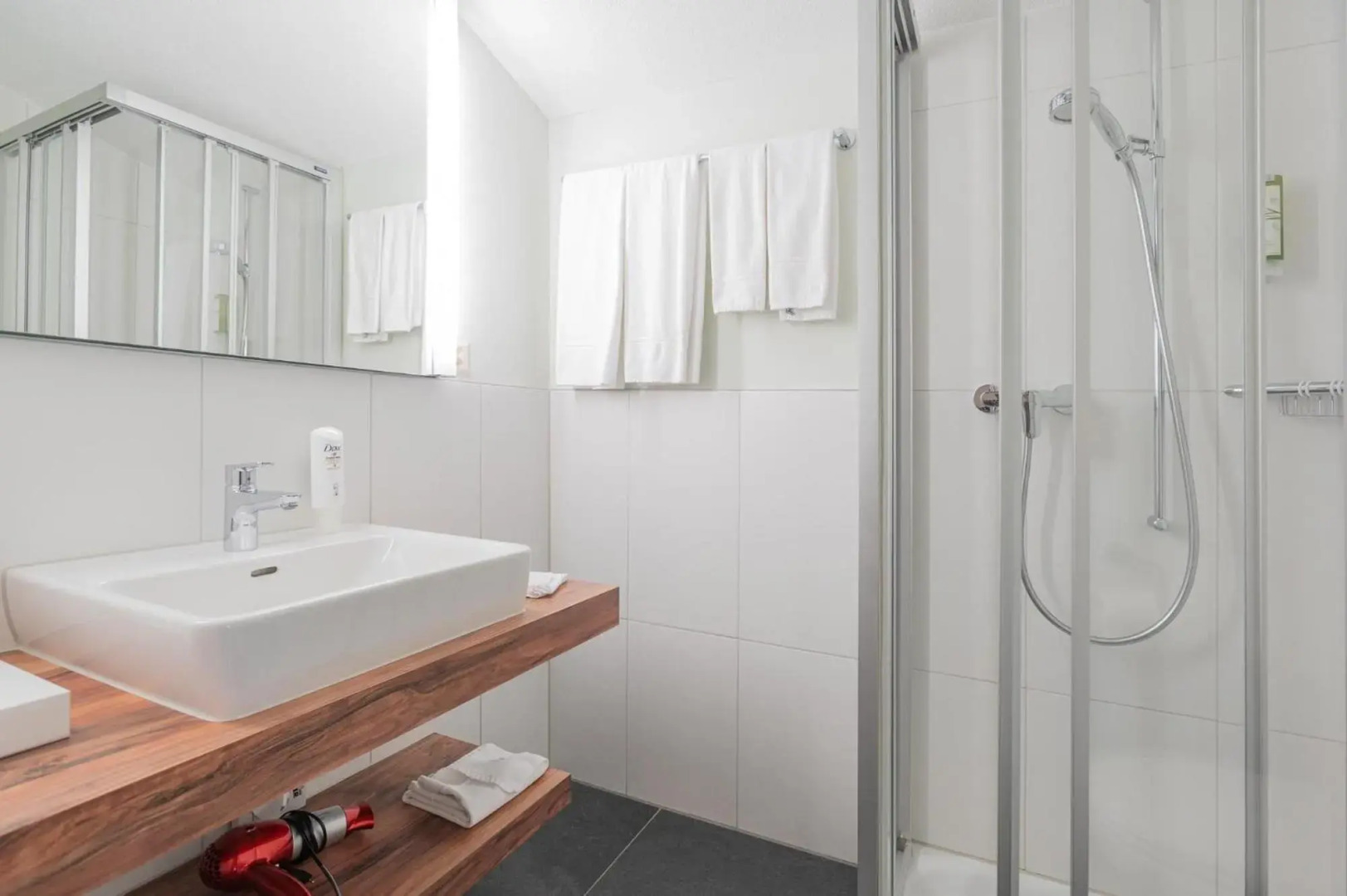 Hotel Restaurant Alpina