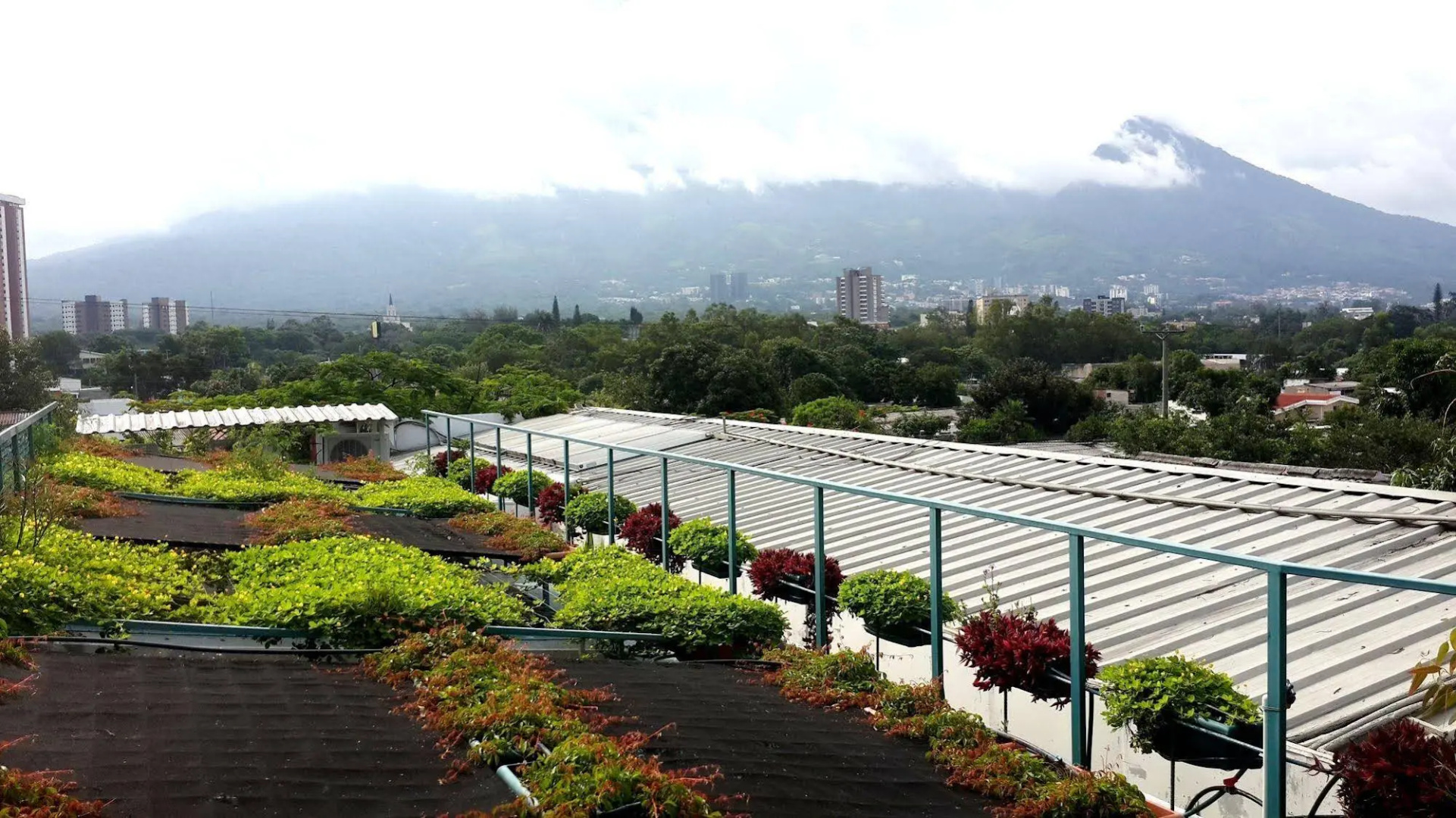 Árbol de Fuego Eco-hotel, a green experience in the city