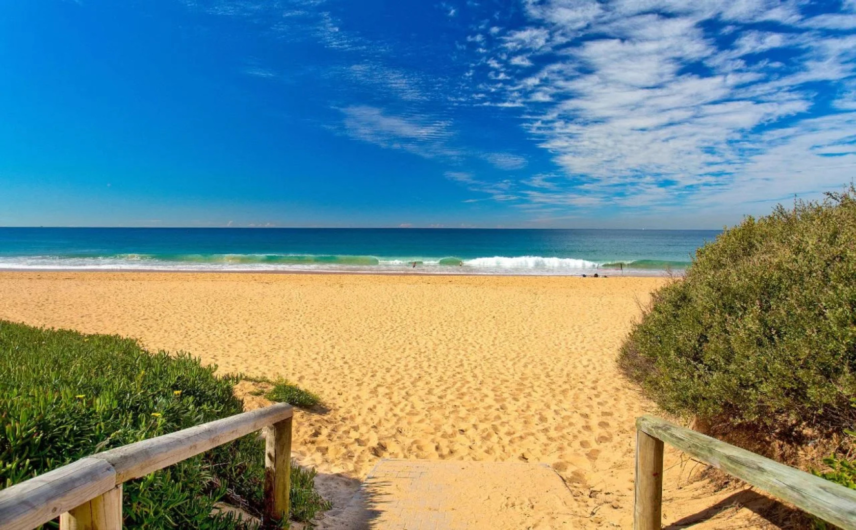 Nightelier Narrabeen