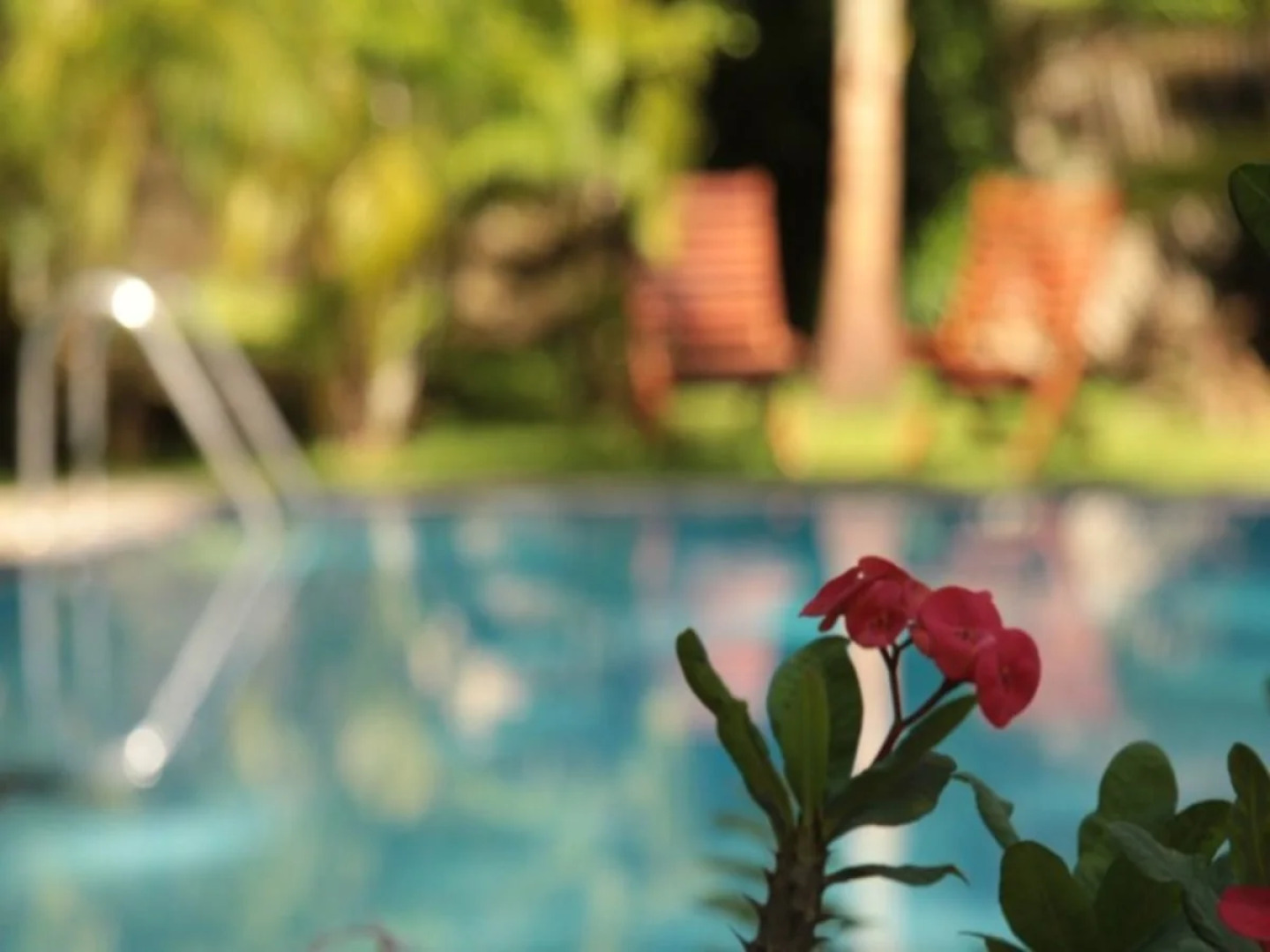 Black Beauty Guesthouse