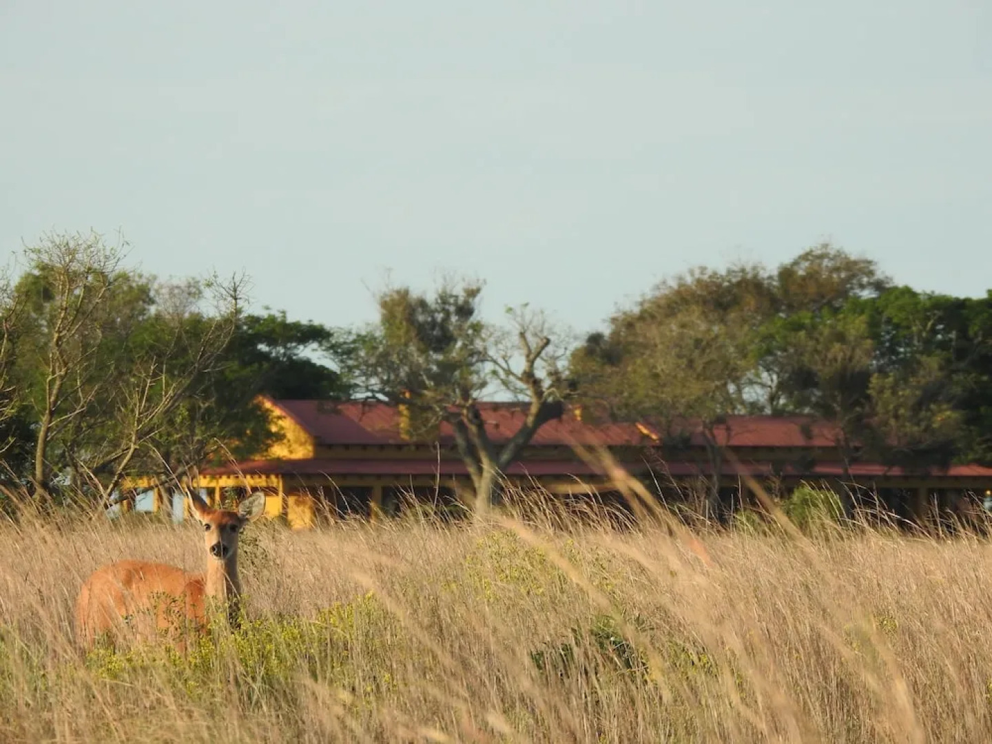 El Tránsito Hotel Boutique