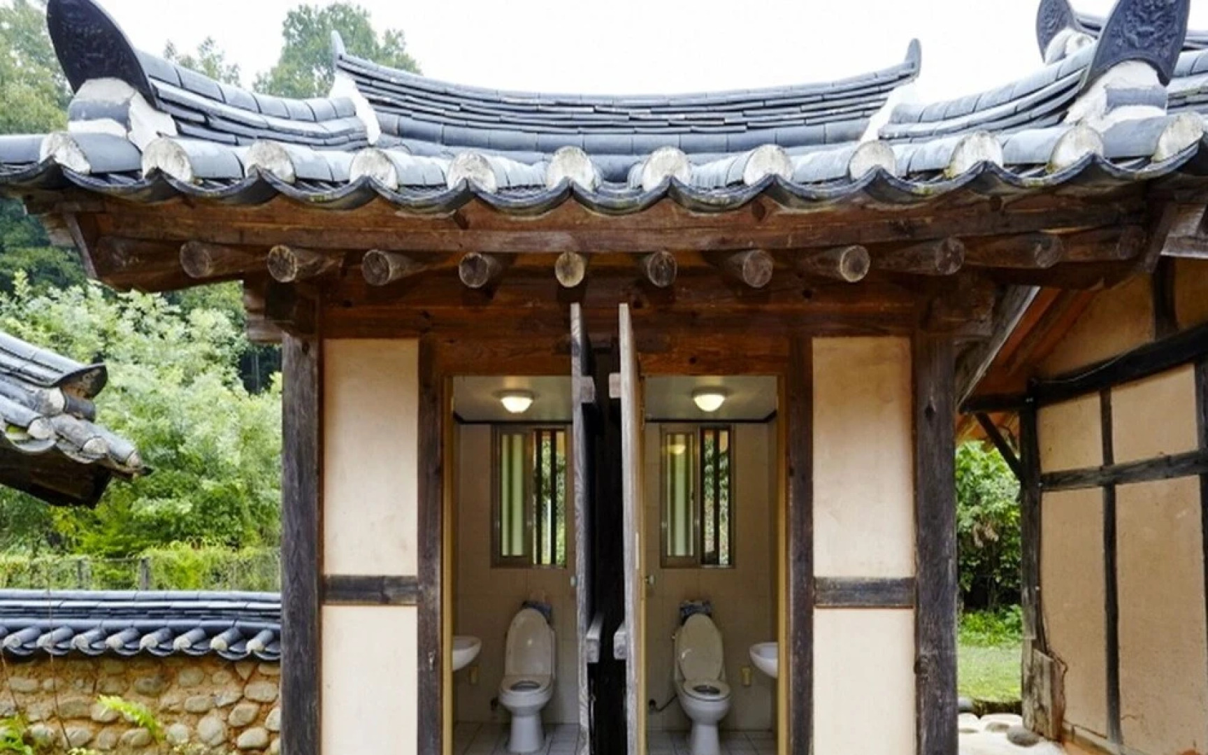 Chungju Wildflowers and Gotaengnadeuri