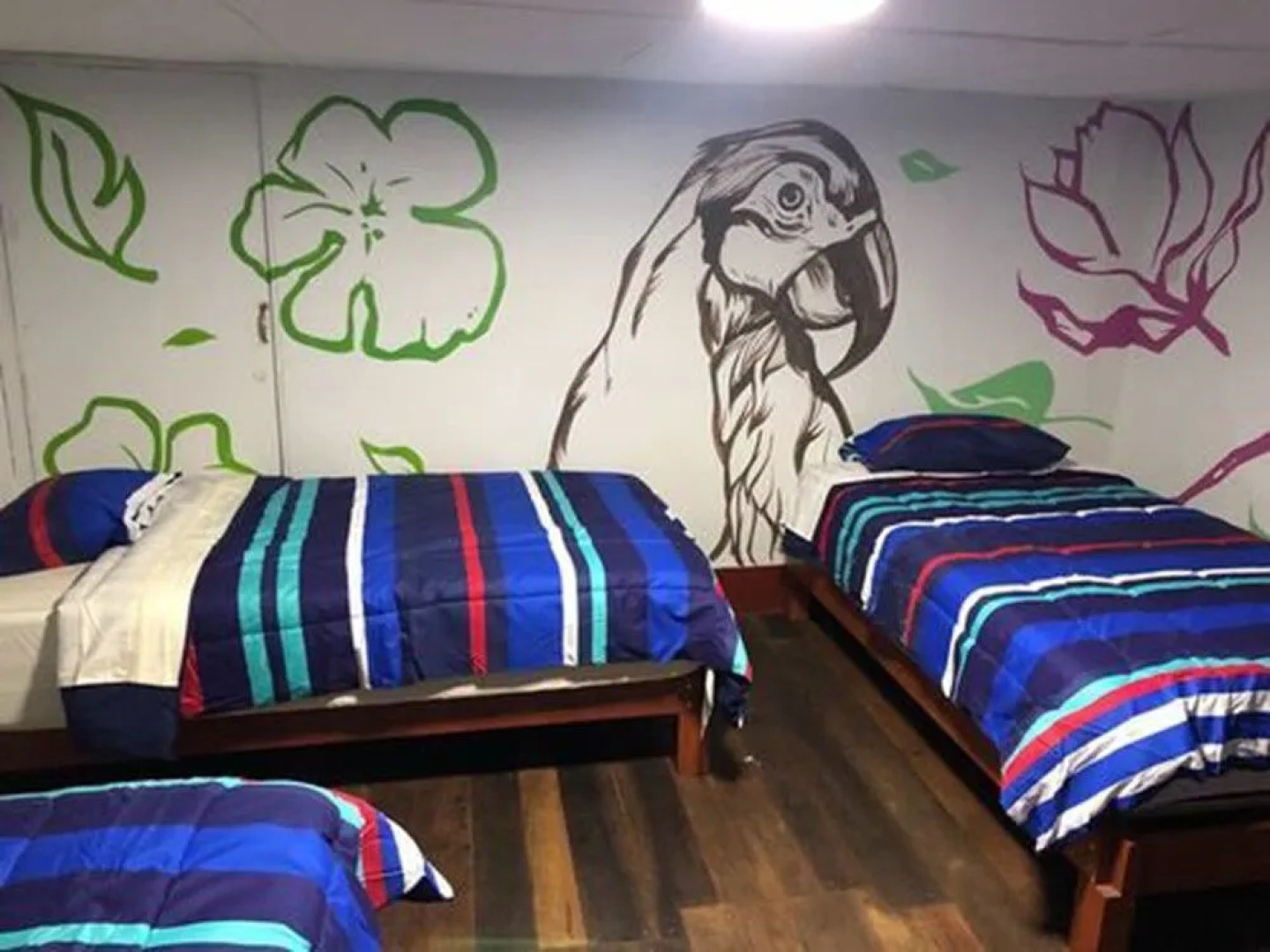 Déjà Vu Backpackers