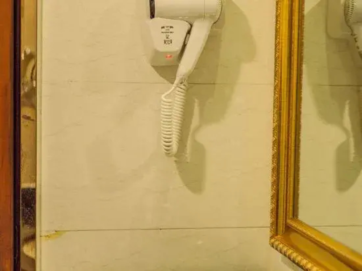 Vienna Hotel (Jishou Railway Station)