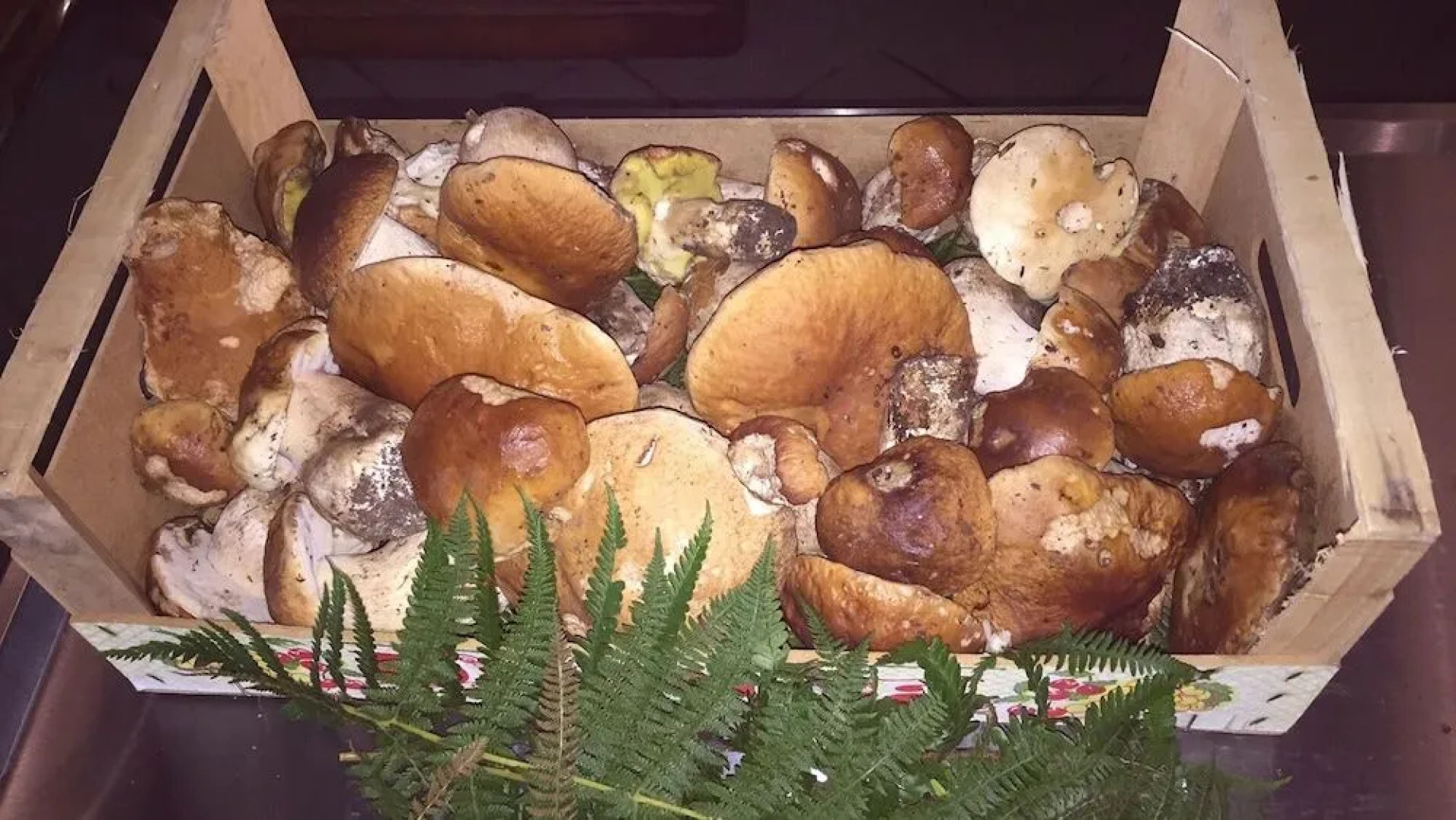 Osteria Gaute La Nata