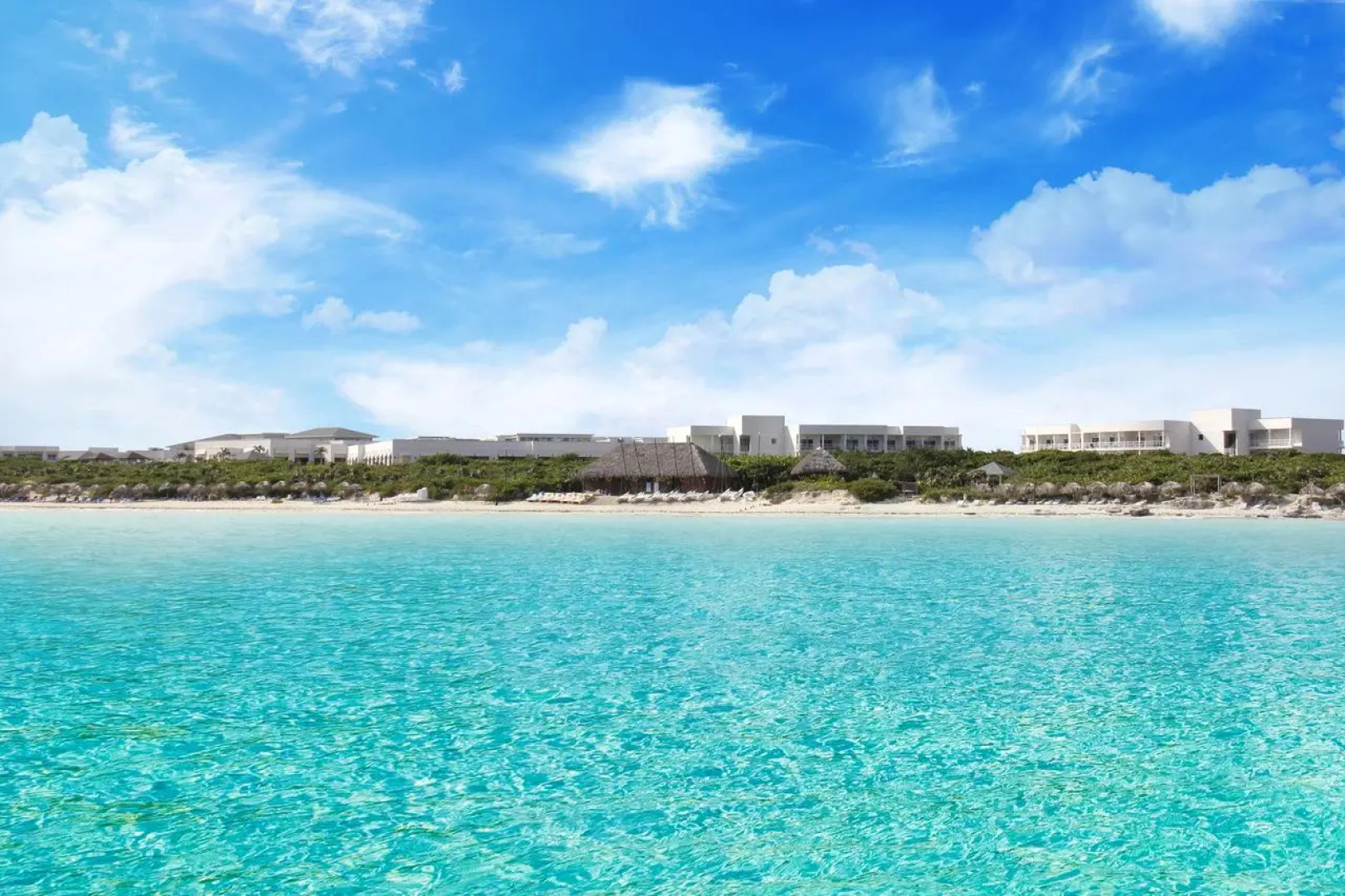 Valentin Perla Blanca