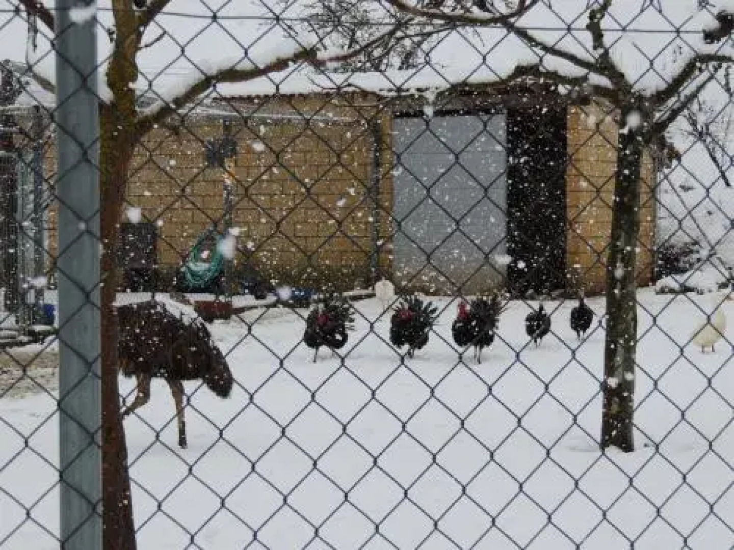 Hotel Restaurante La Alhama