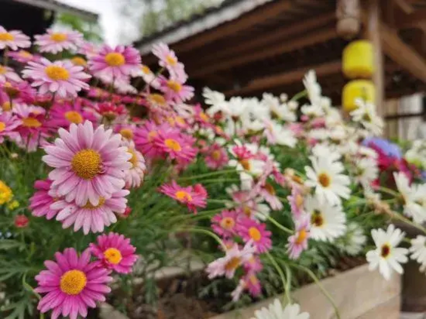 Yunxi Bieyuan Guesthouse