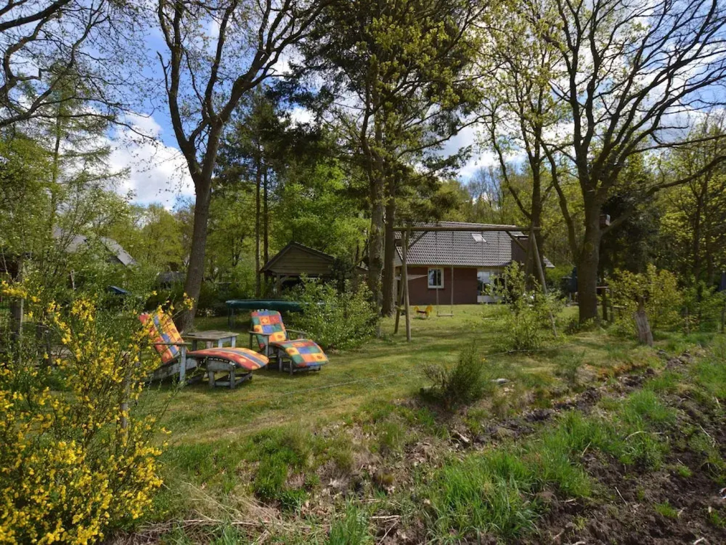 Cozy Cottage With Large Garden in Nature Reserve Dwingelderveld