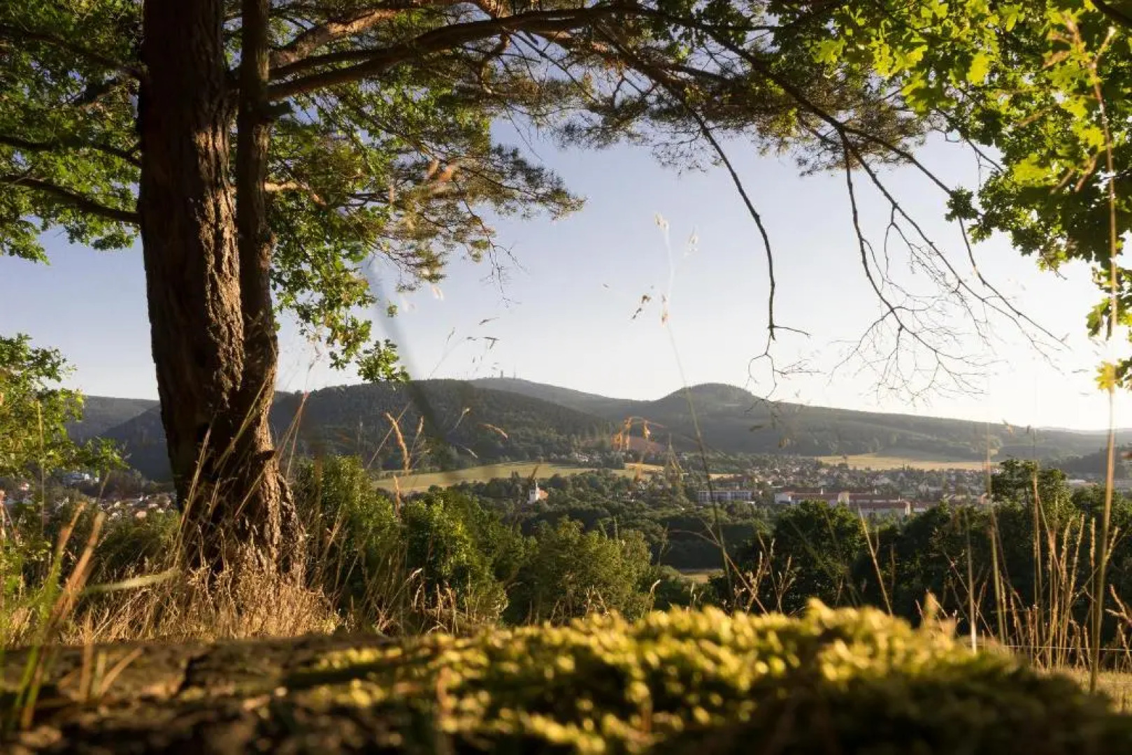 Tom's Ferienappartements Appartment 2