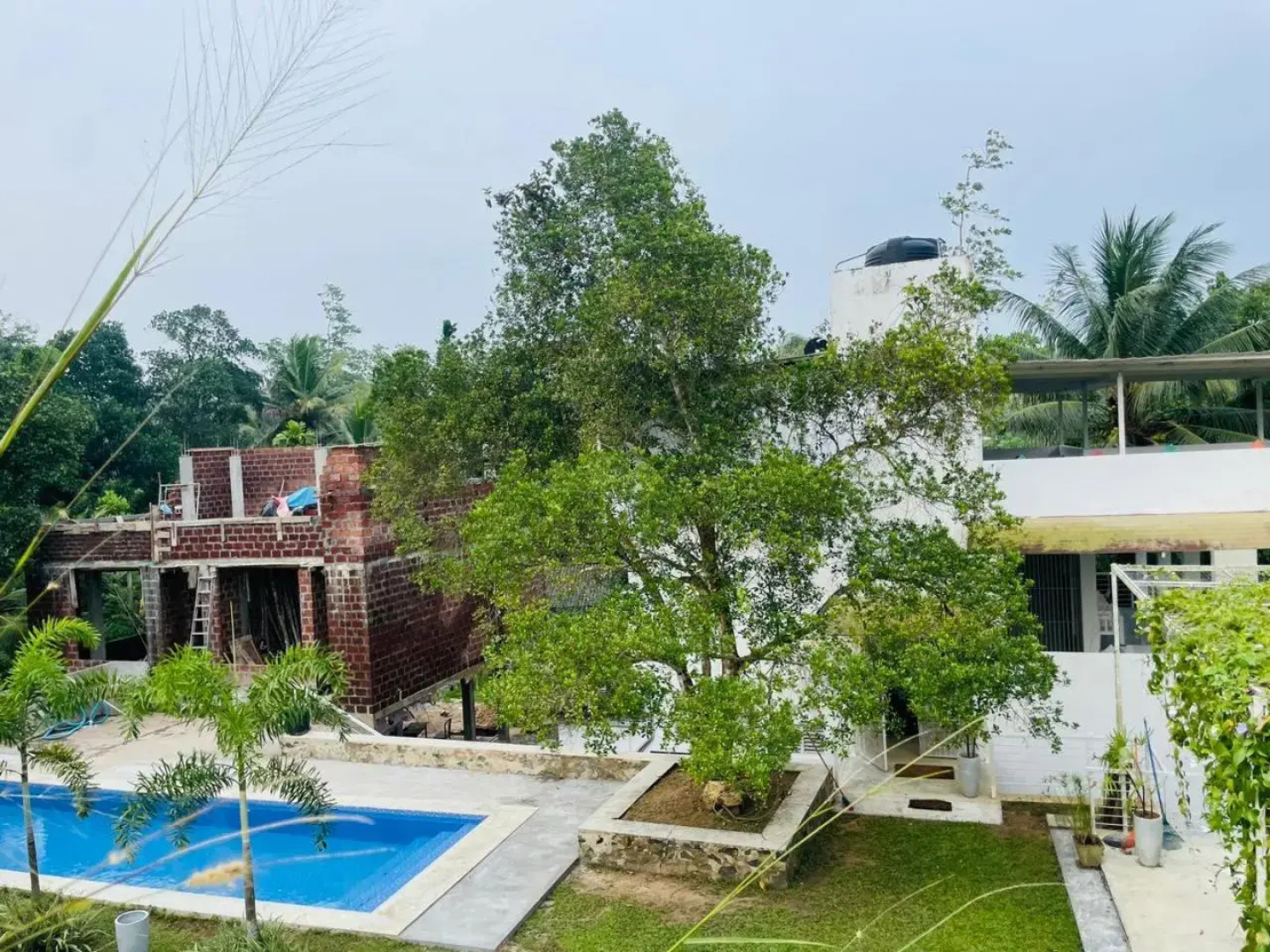Villa Green Bamboo