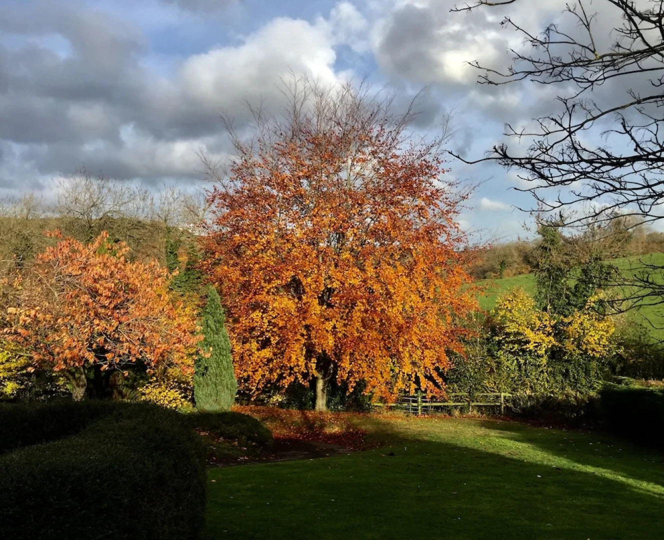 Valley View Farm, Batcombe