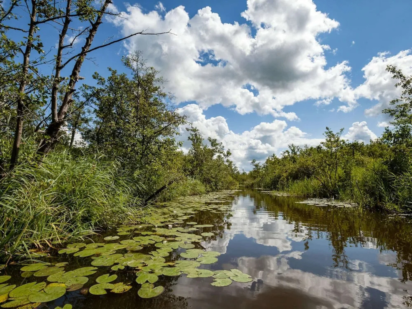 B&B Farm in Grutsk Suwald With Private Harbour
