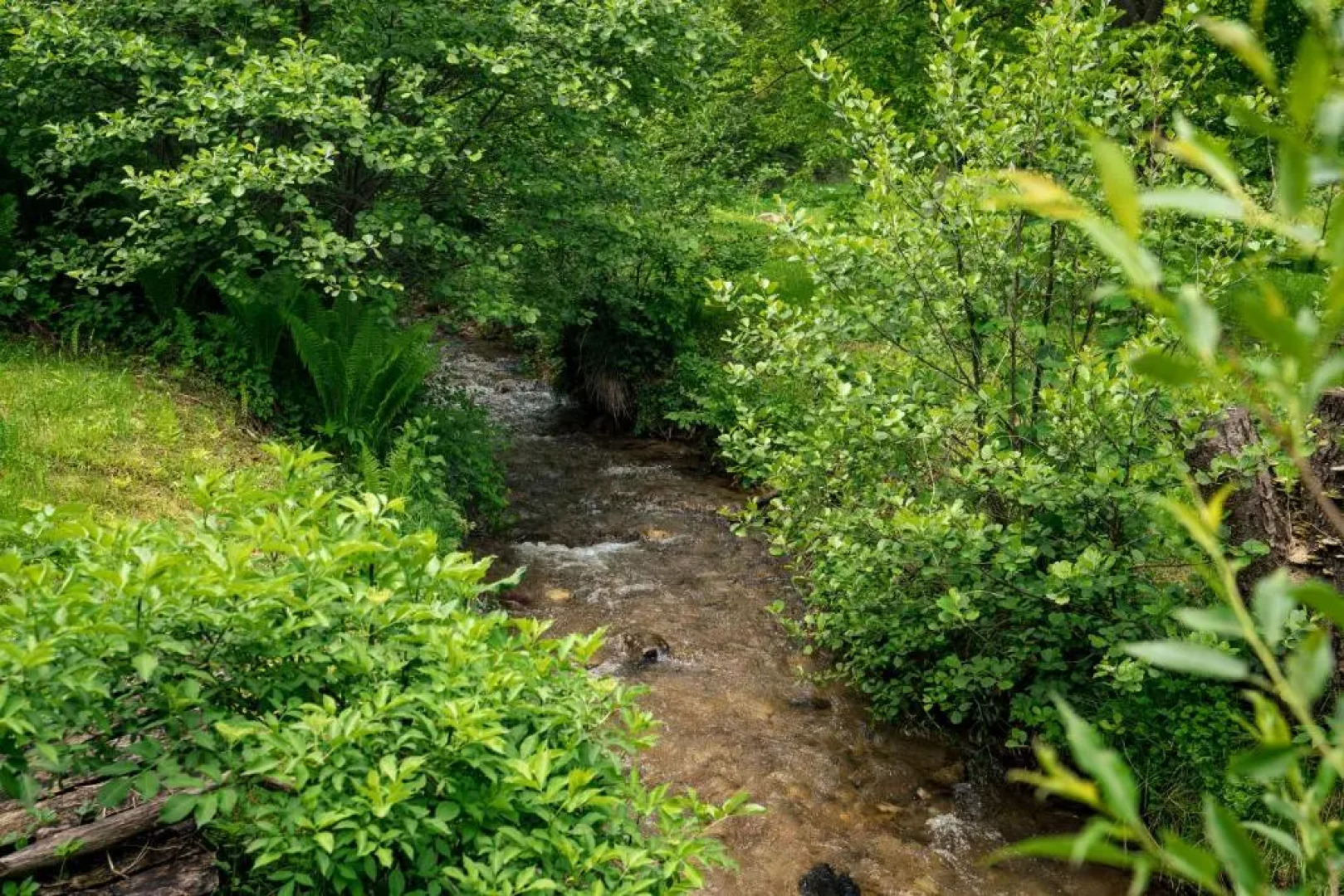 Viewtopia - The Secret Land