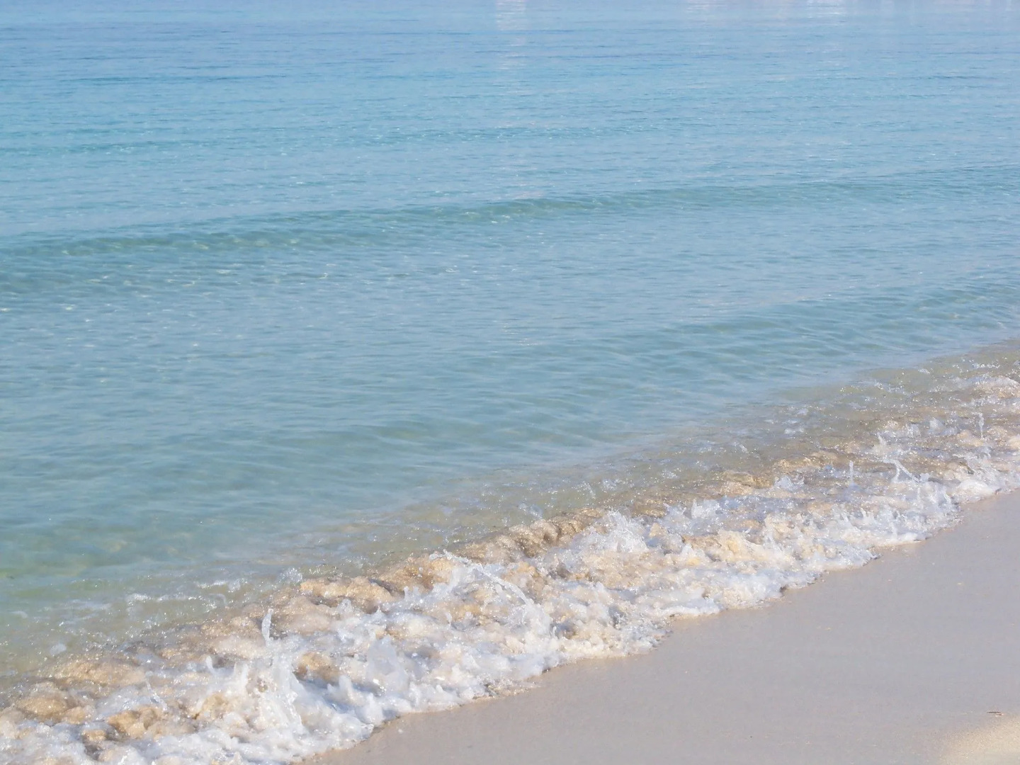 Agriturismo Il Pavone