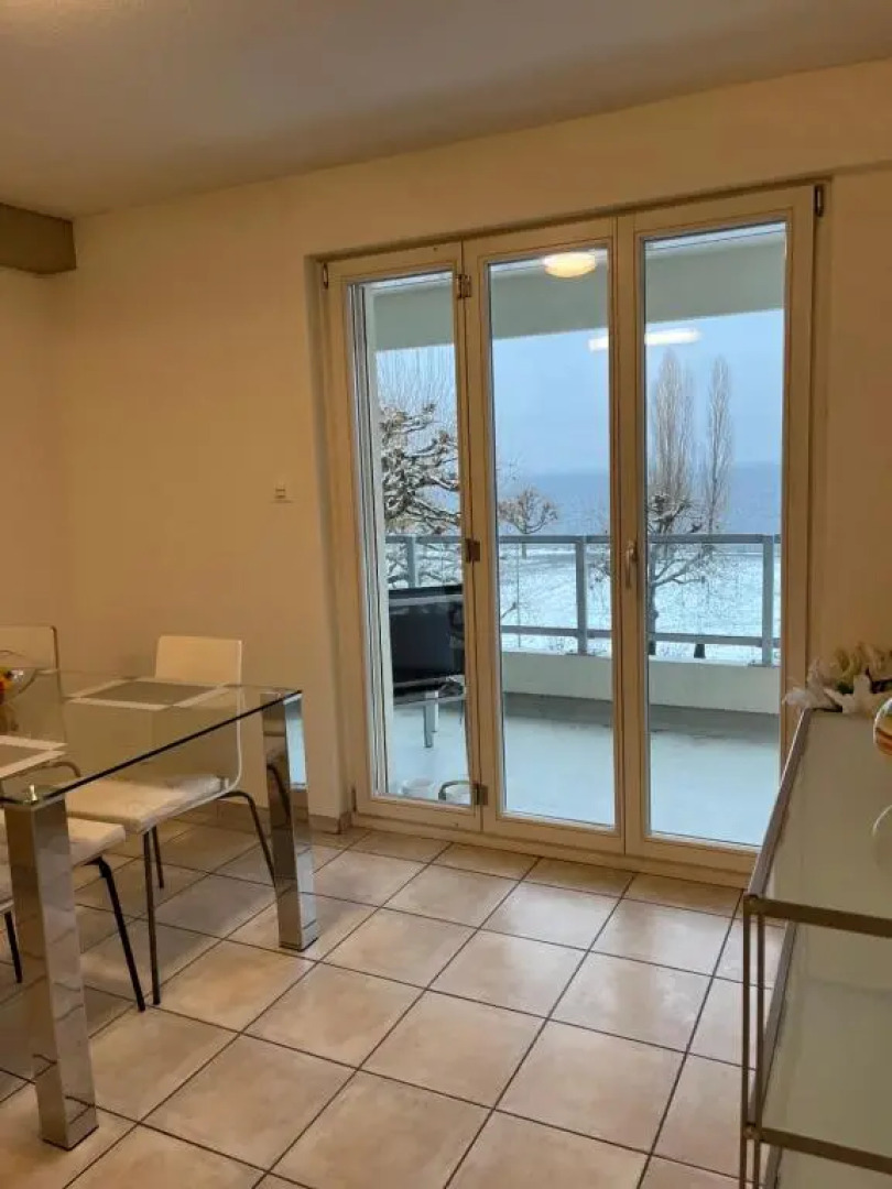 Amazing lakeview flat Horn