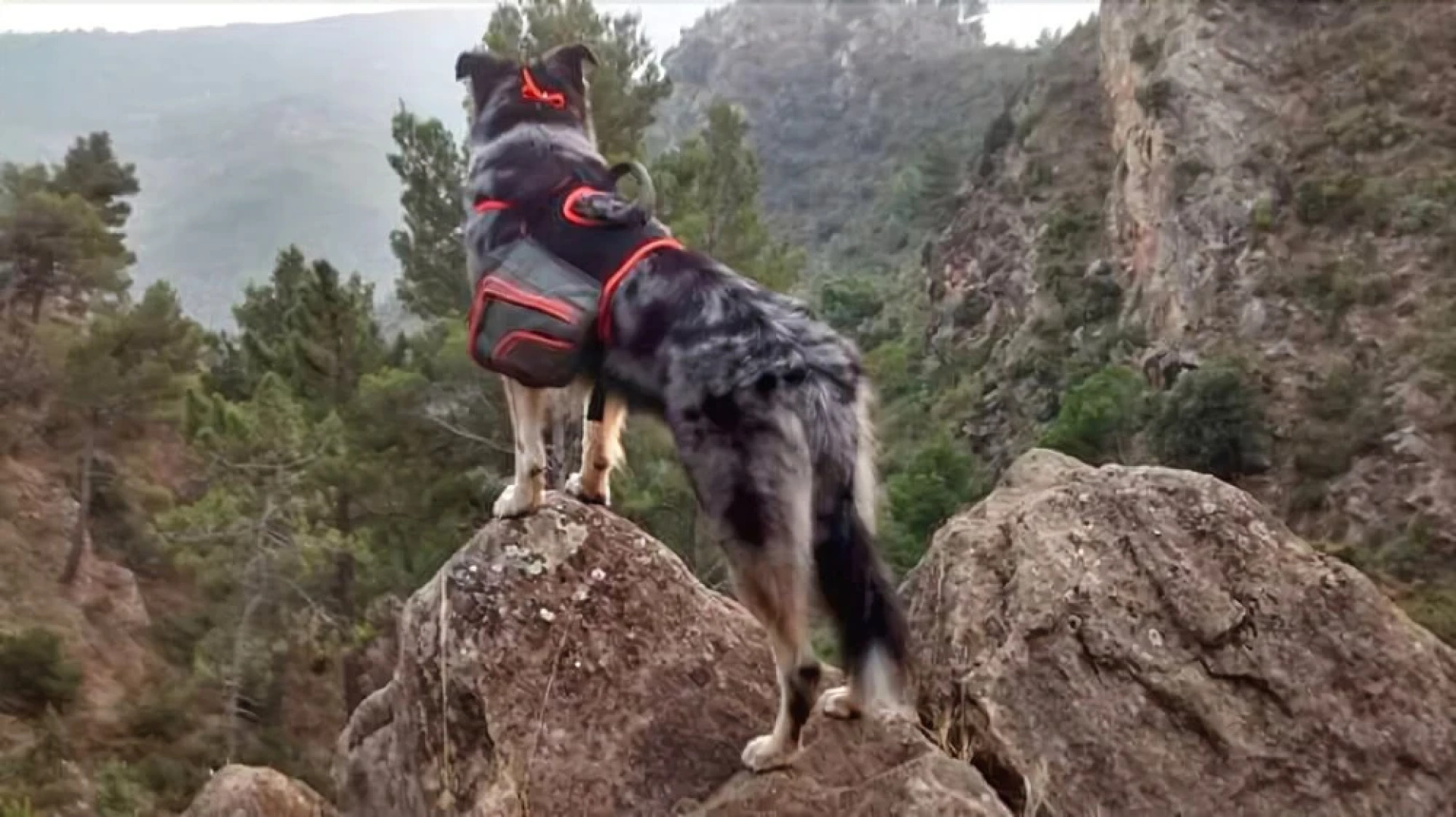 Casas Rurales Penyagolosa