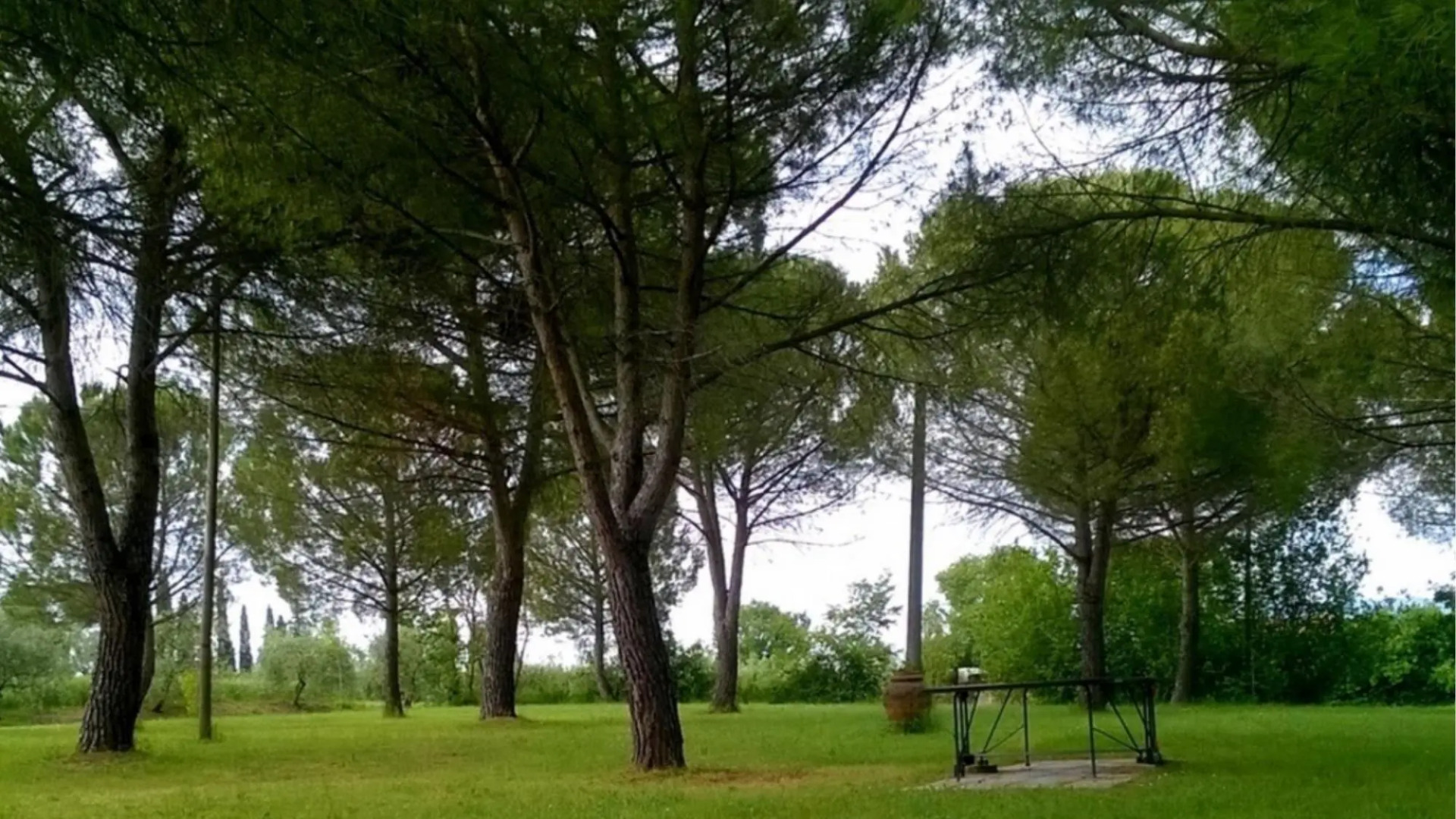 Beautiful Villa With Swimming Pool Ideal for Families-il Caggio