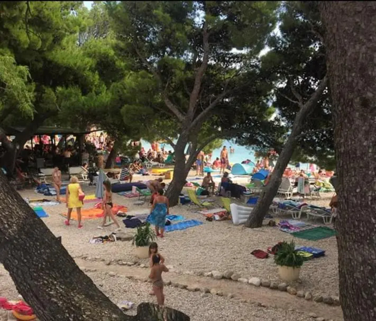 1 bedroom/terrace - Makarska riviera Promajna