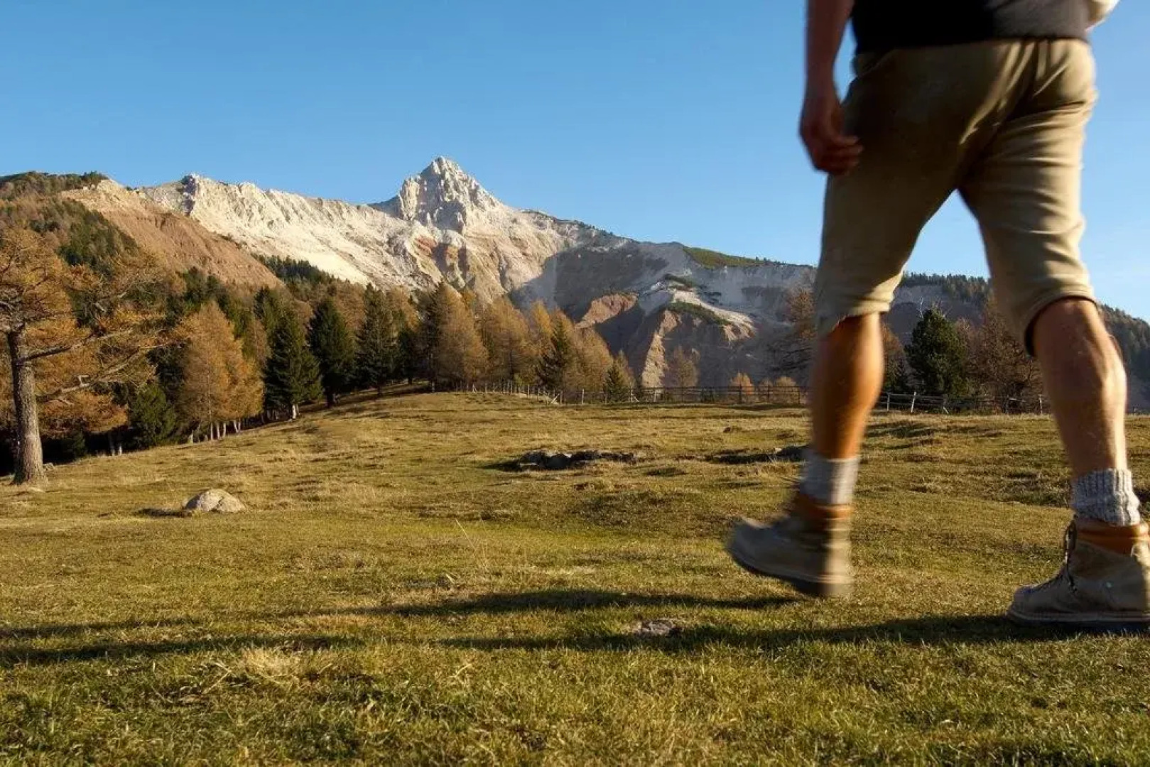 Gasthof Ebner Pfiffikus