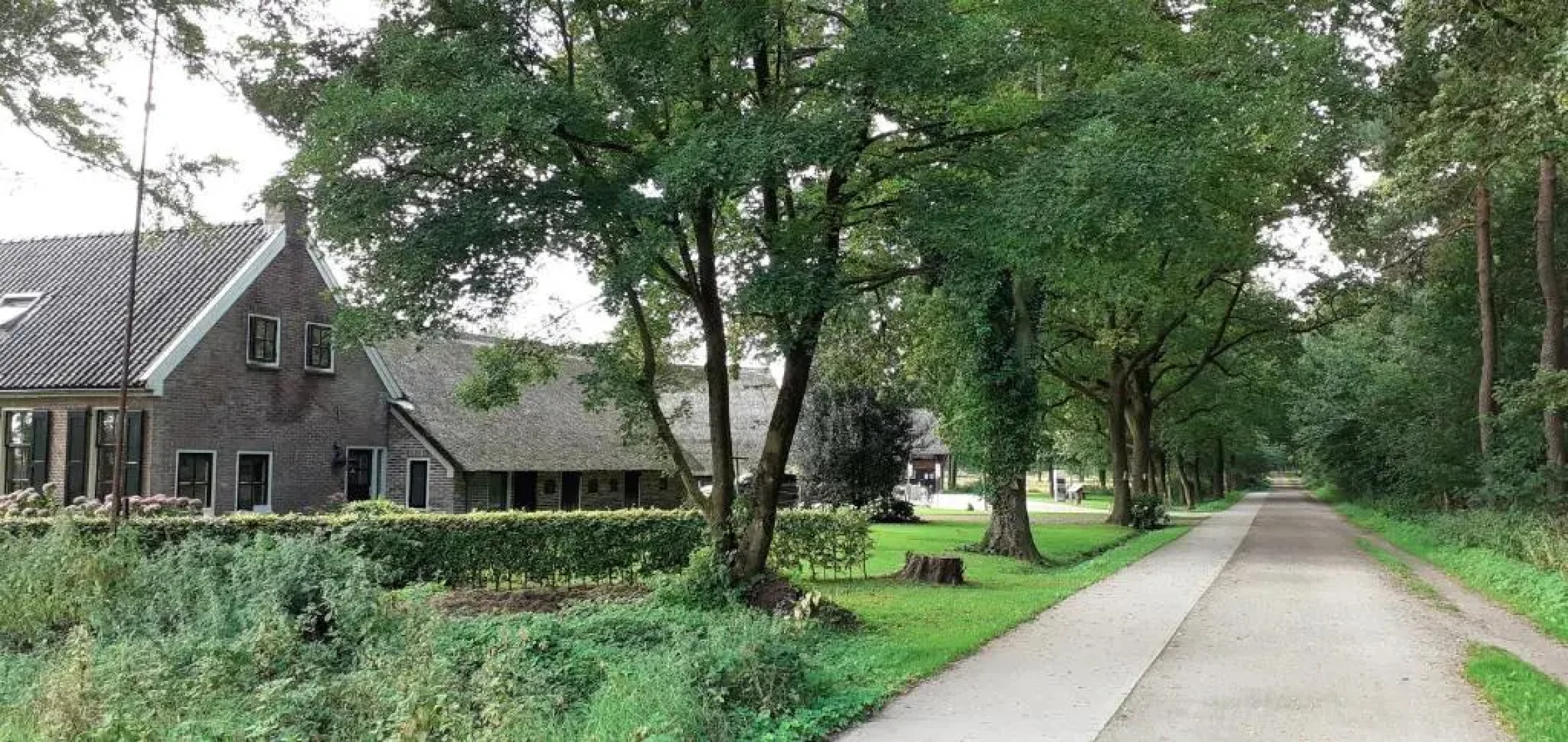 Drentse bungalow in natuur en rust