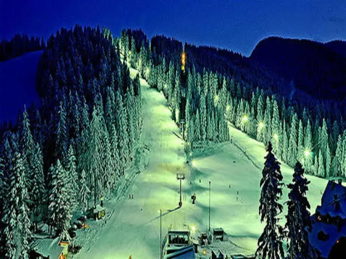 Studio in Hotel Flora Borovets