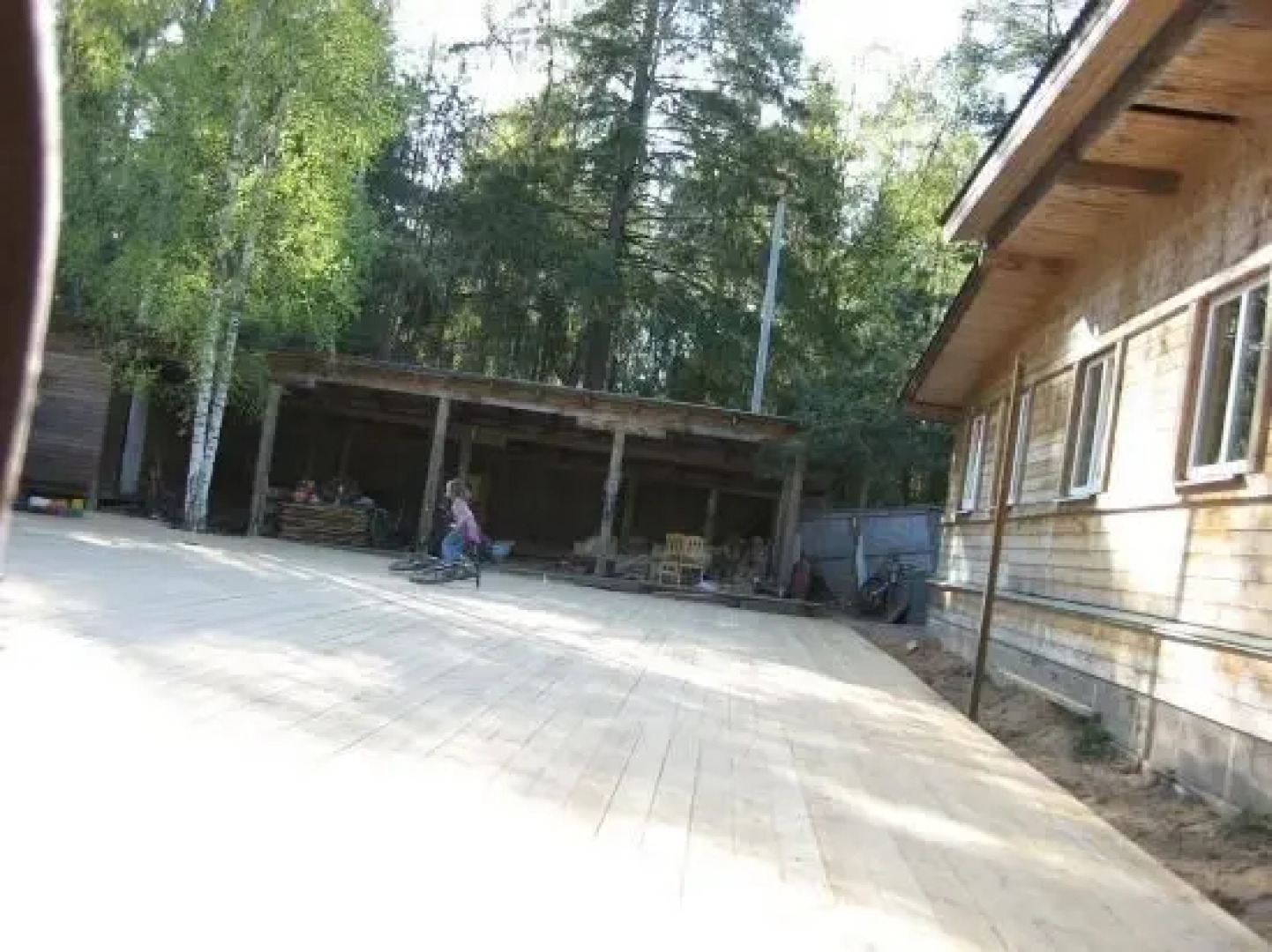 Lesnaya Baza Shishki