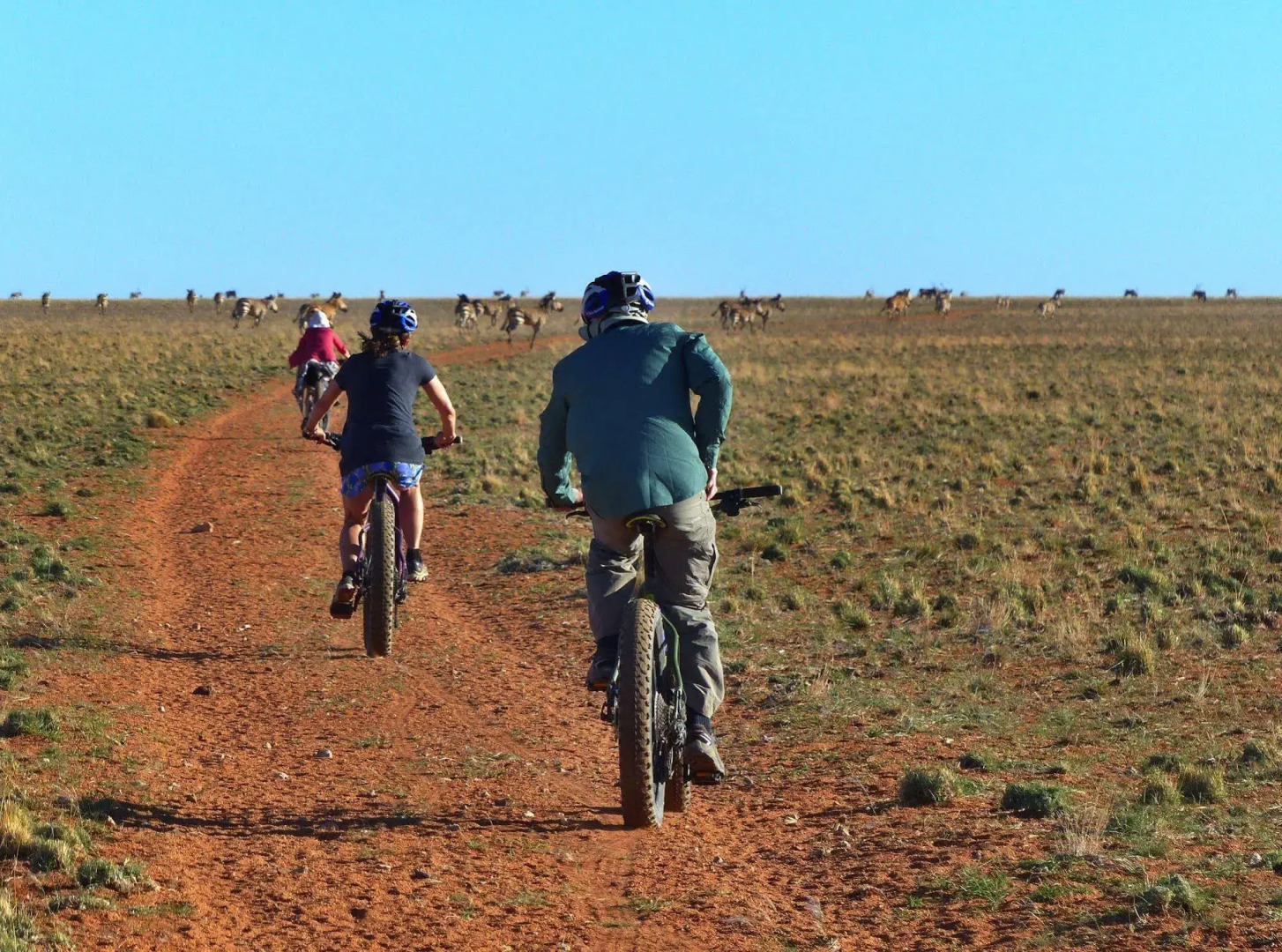 Solitaire Guest Farm