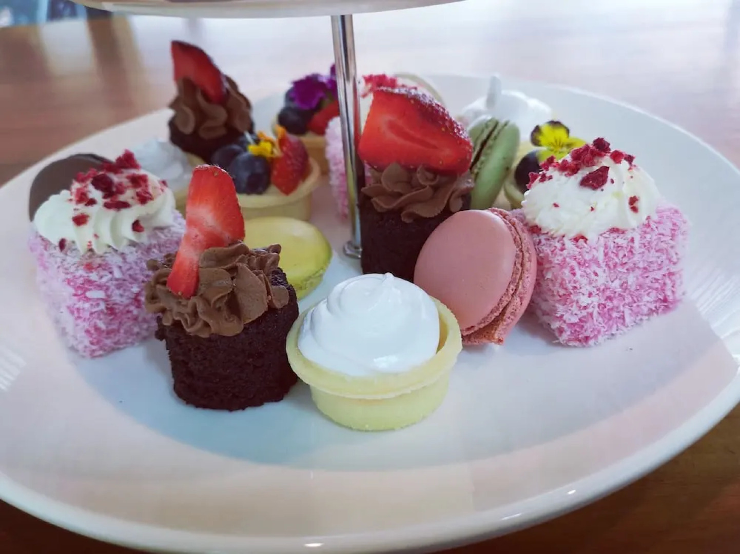 The Waterlily Gardens