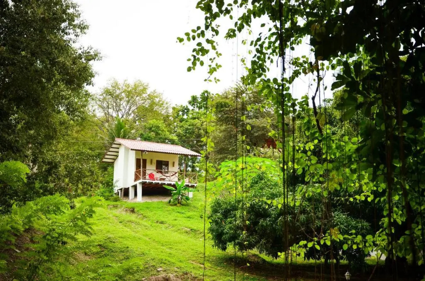 Istmo Beach and Jungle Bungalows