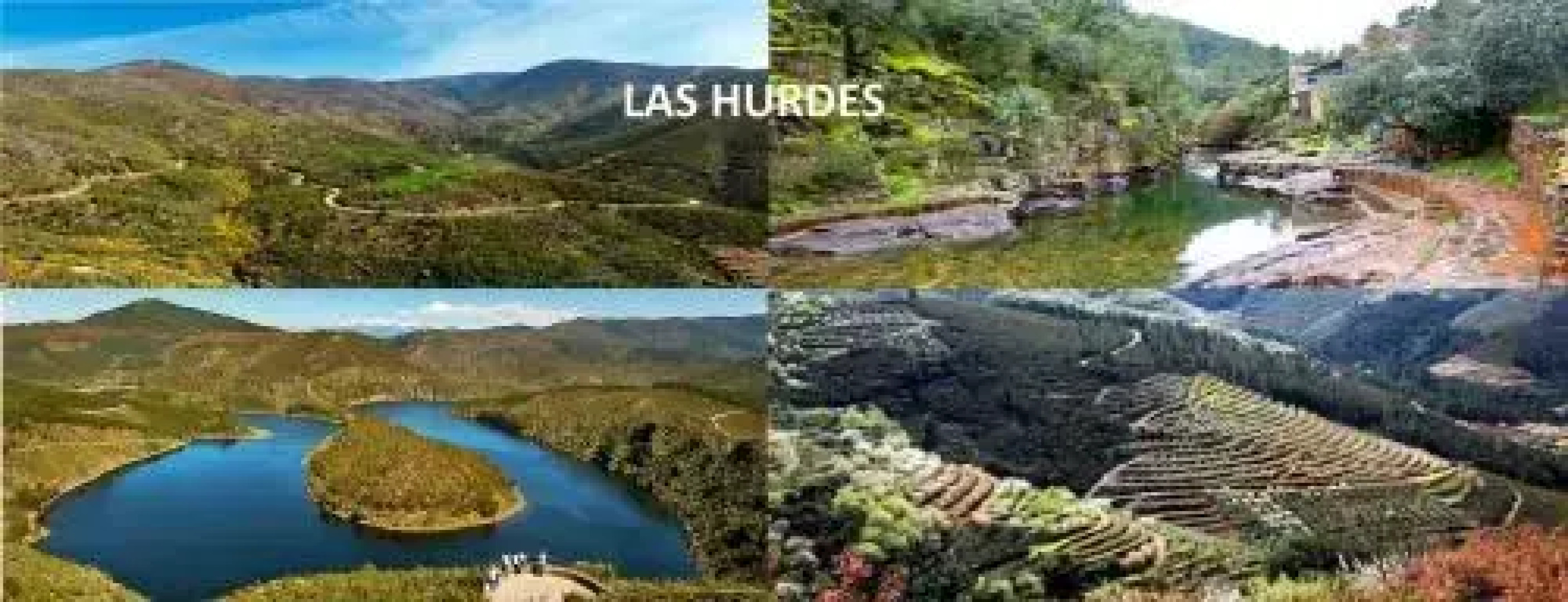 Apartamentos Capuchinas