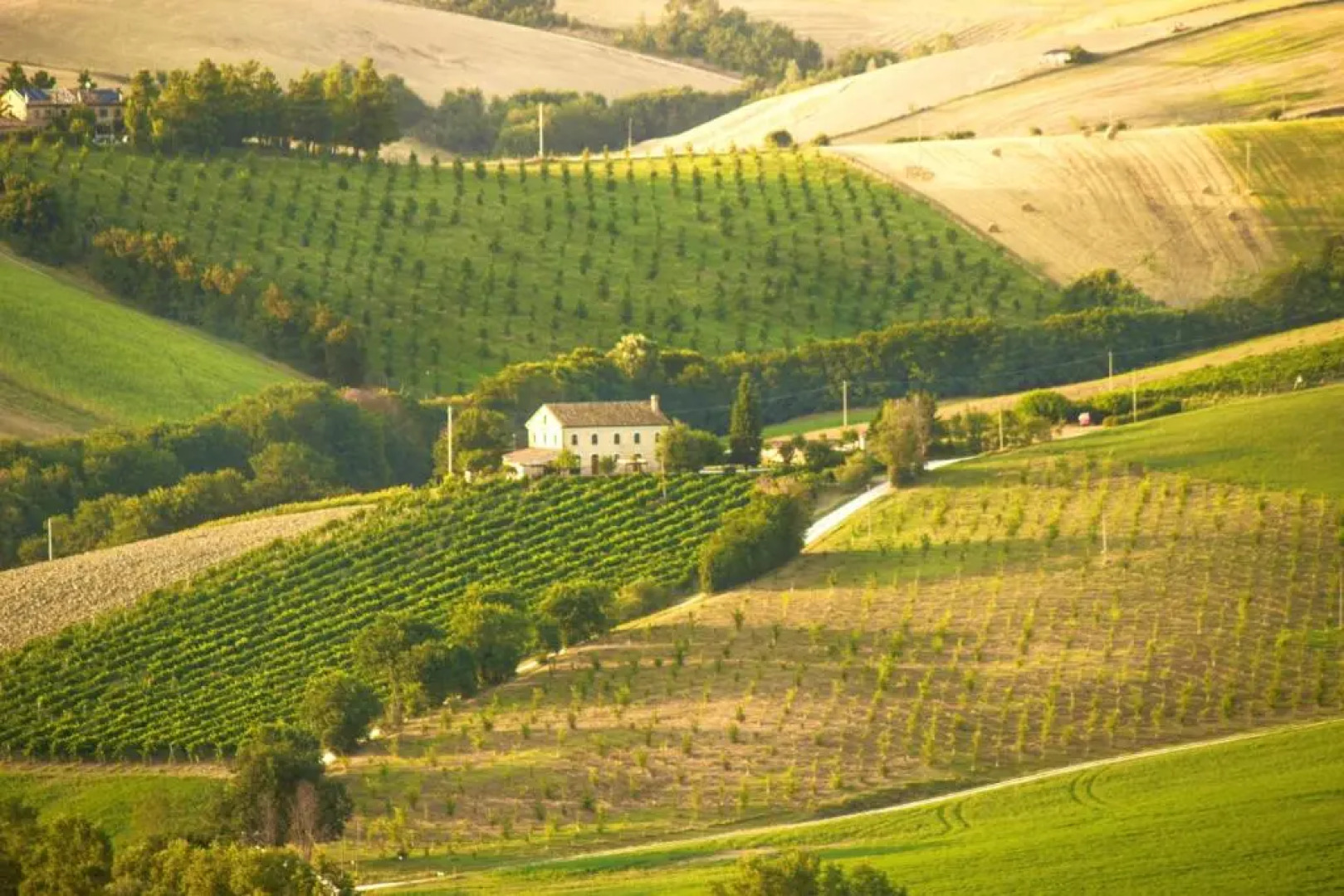 Villa with 6 bedrooms in Provincia di Ancona with wonderful mountain view private pool furnished garden 30 km from the beach