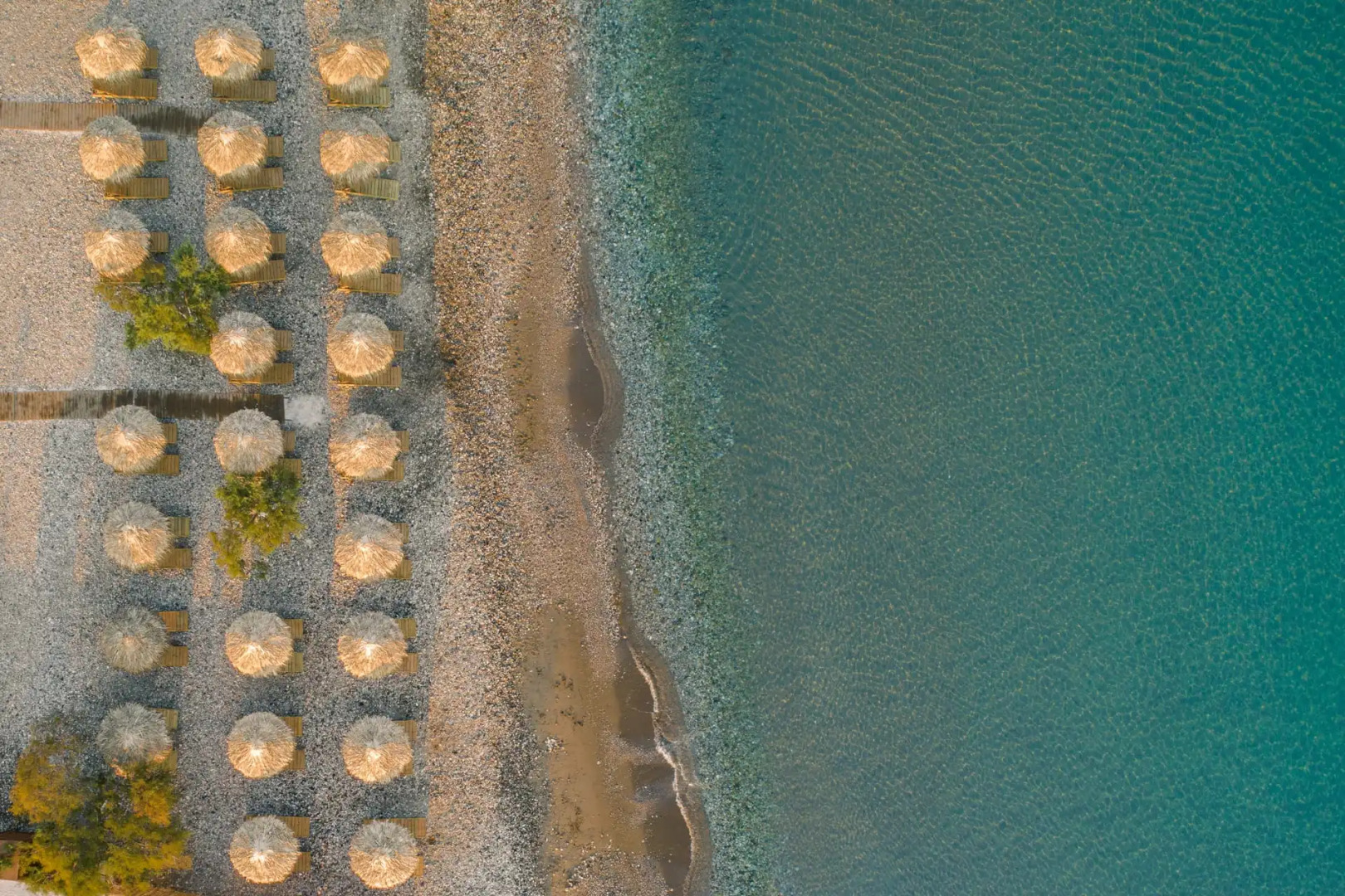 Erato by Samian Mare