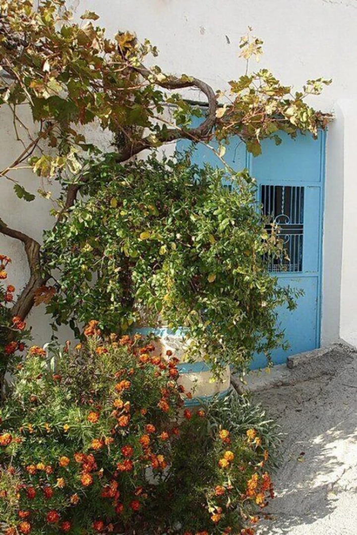 Rustic House in nature-Saktouria