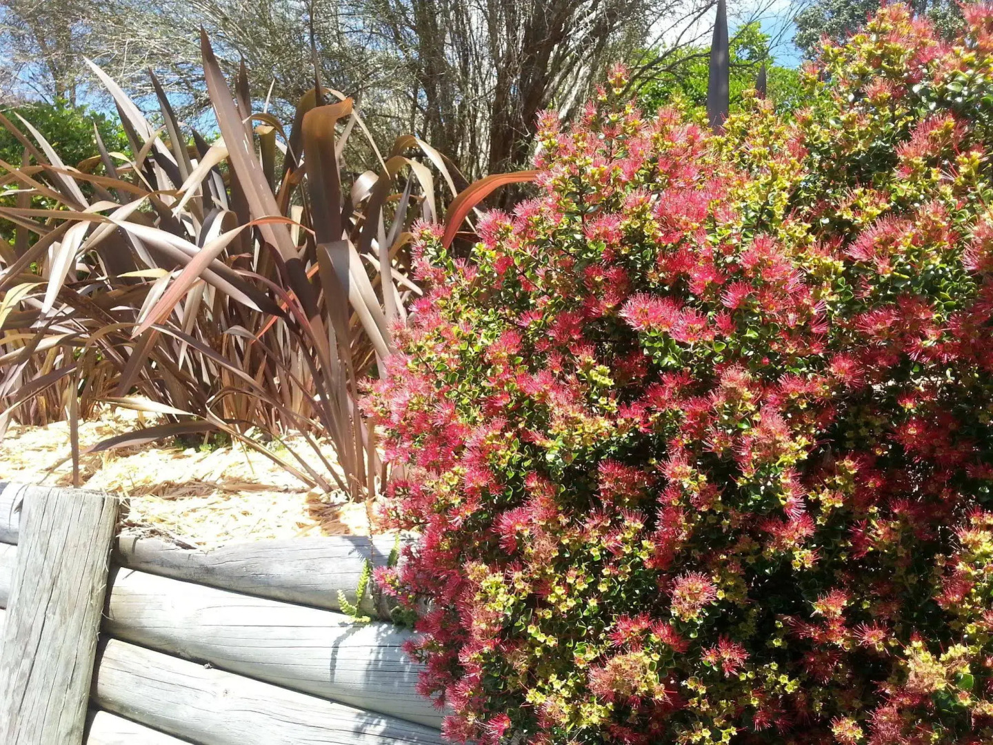 Morepork Riverside Lodge