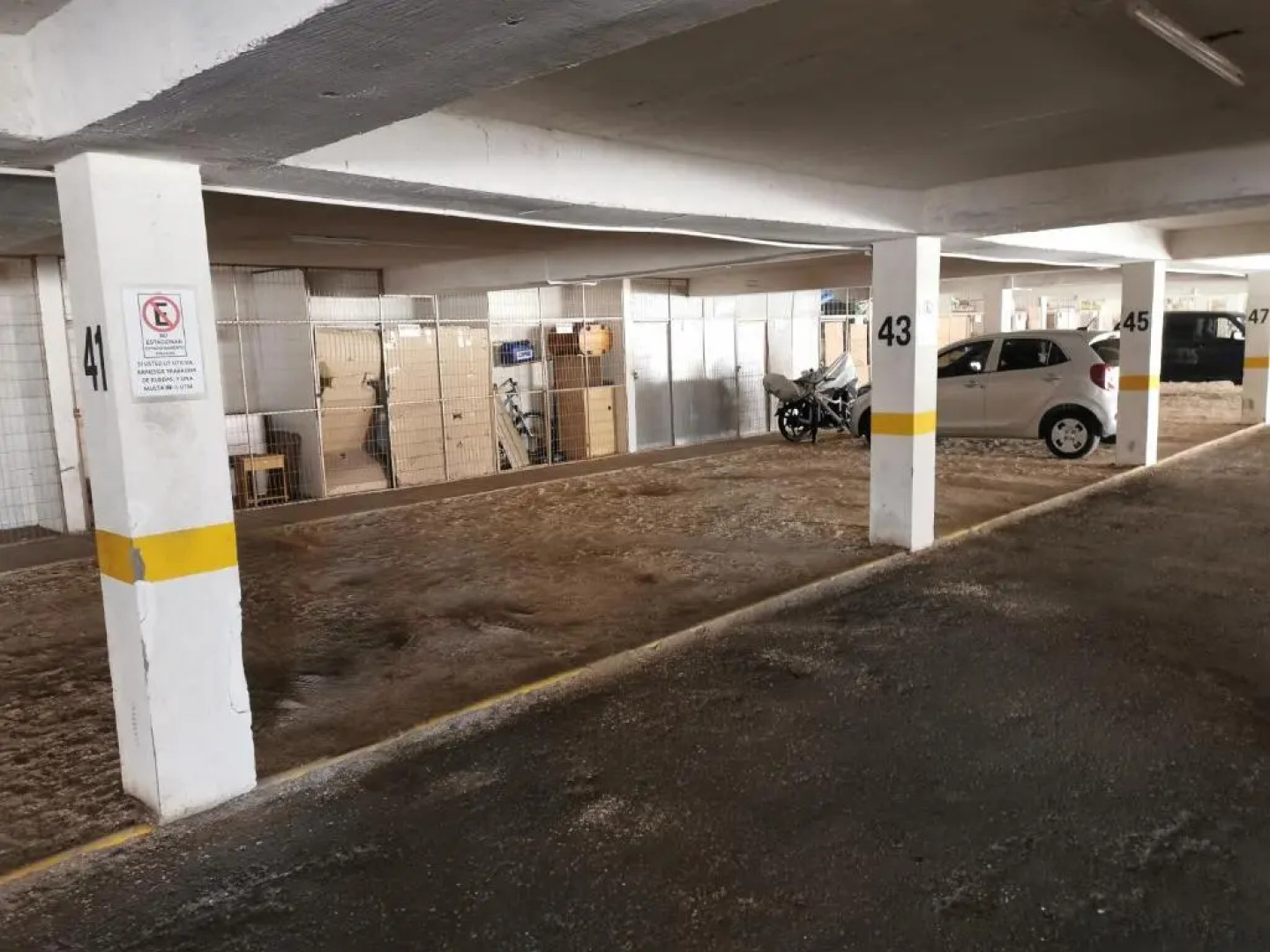 North Suite Apartment