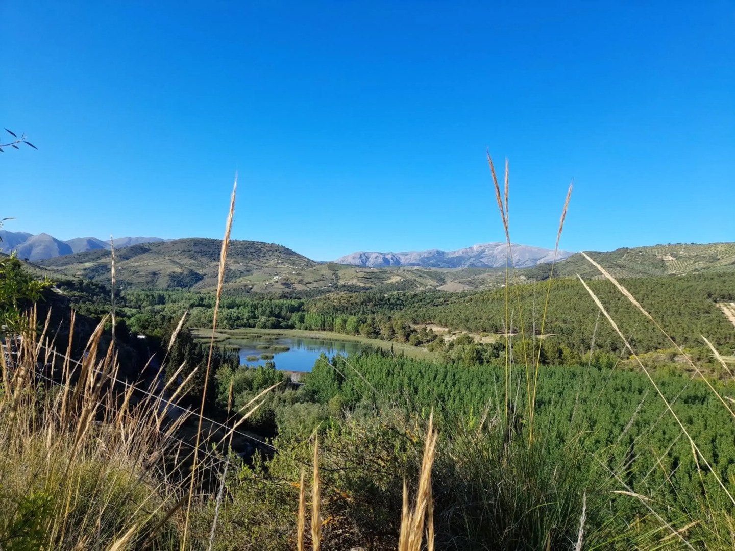 La Casita de Papel Alhama de Granada