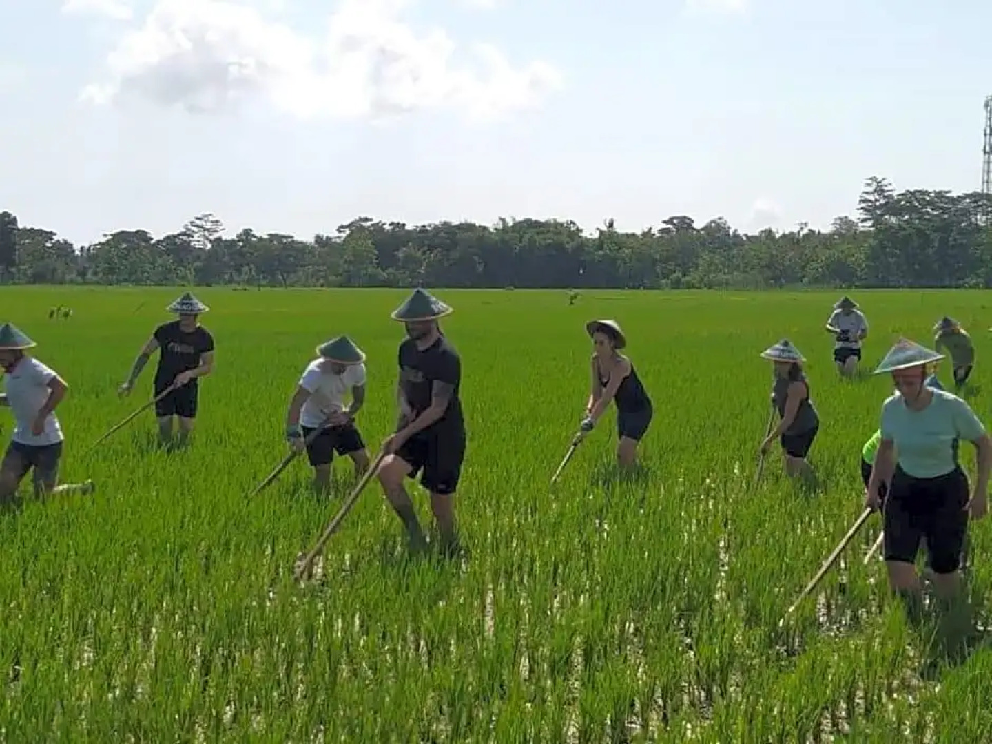 Sardi Homestay by ZUZU