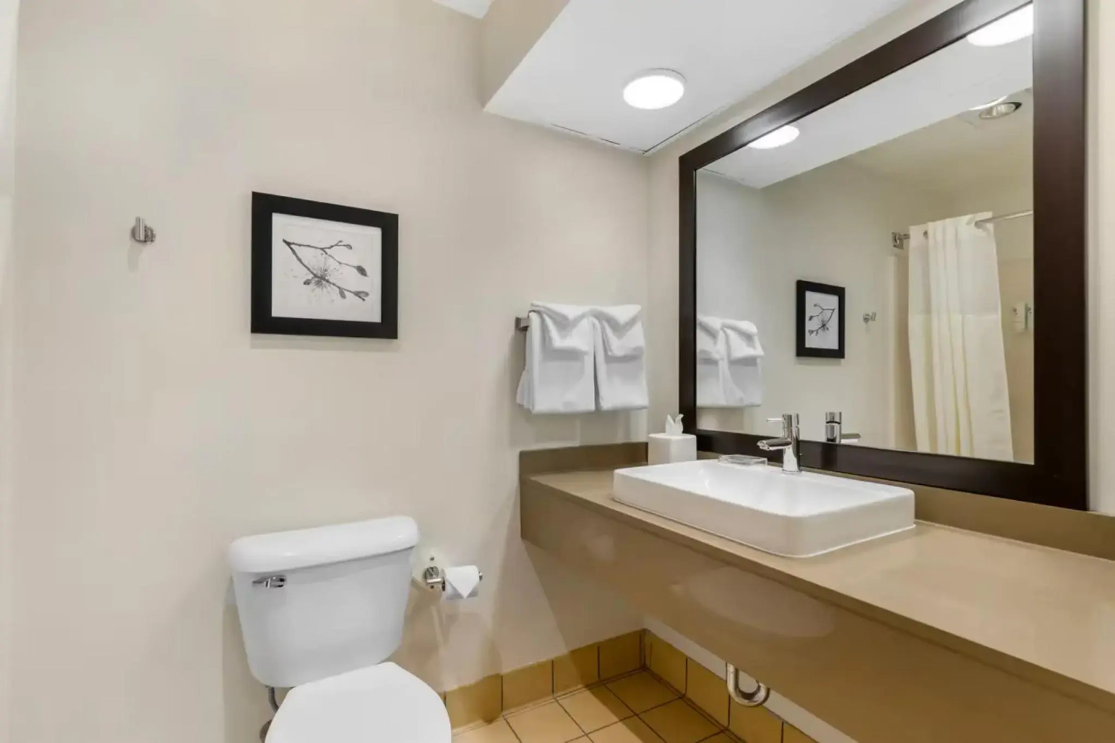 Country Inn & Suites by Radisson, Des Moines West, IA