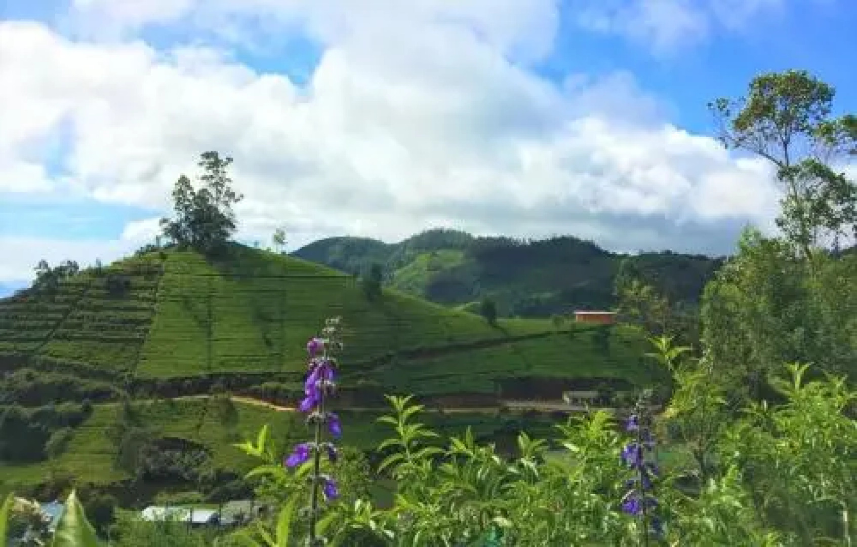 Winter Dream Holiday Bungalow Nuwara Eliya