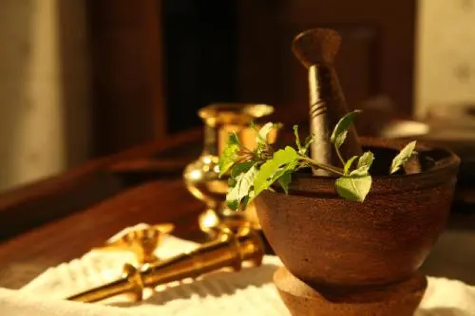 Niramayam Heritage Ayurveda Retreat