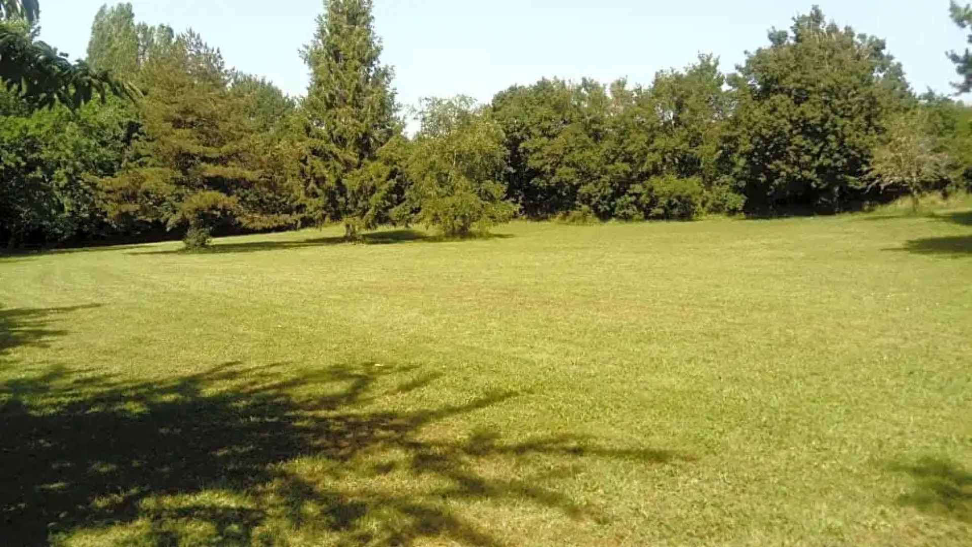 Domaine de l'Angeline