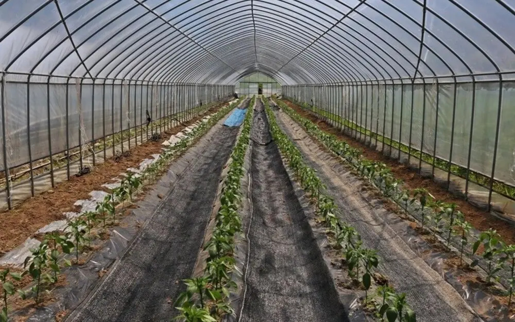 Yangpyeong Haneulbit Pension