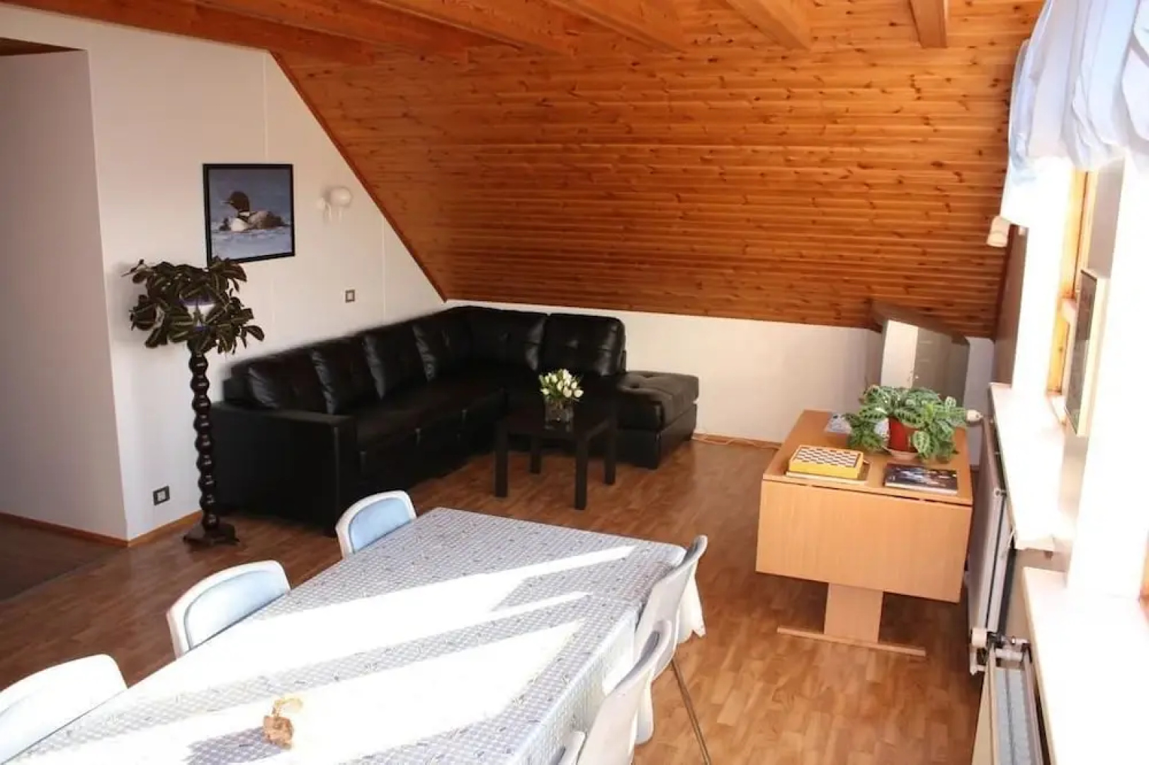 Skutustadir Farm House