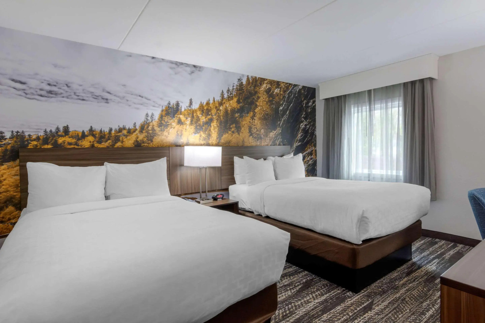 Comfort Inn University