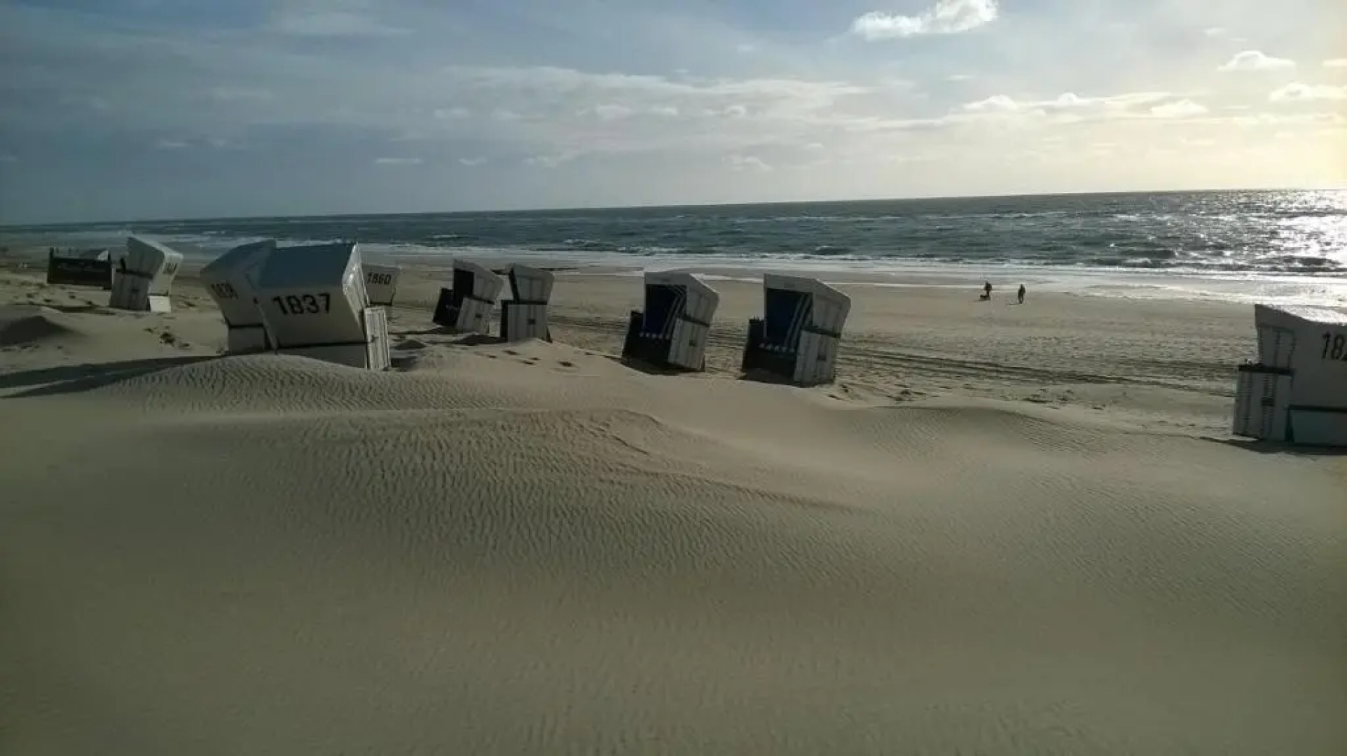 Reetdach Friesenhof Süderende