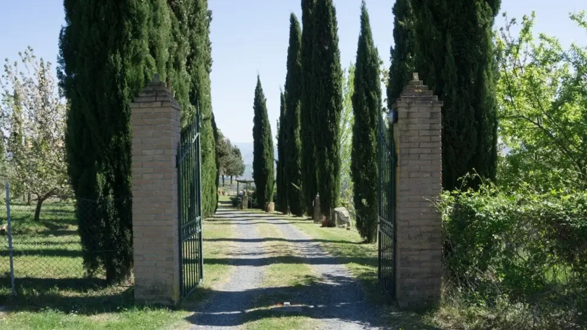 Villa Il Grifone
