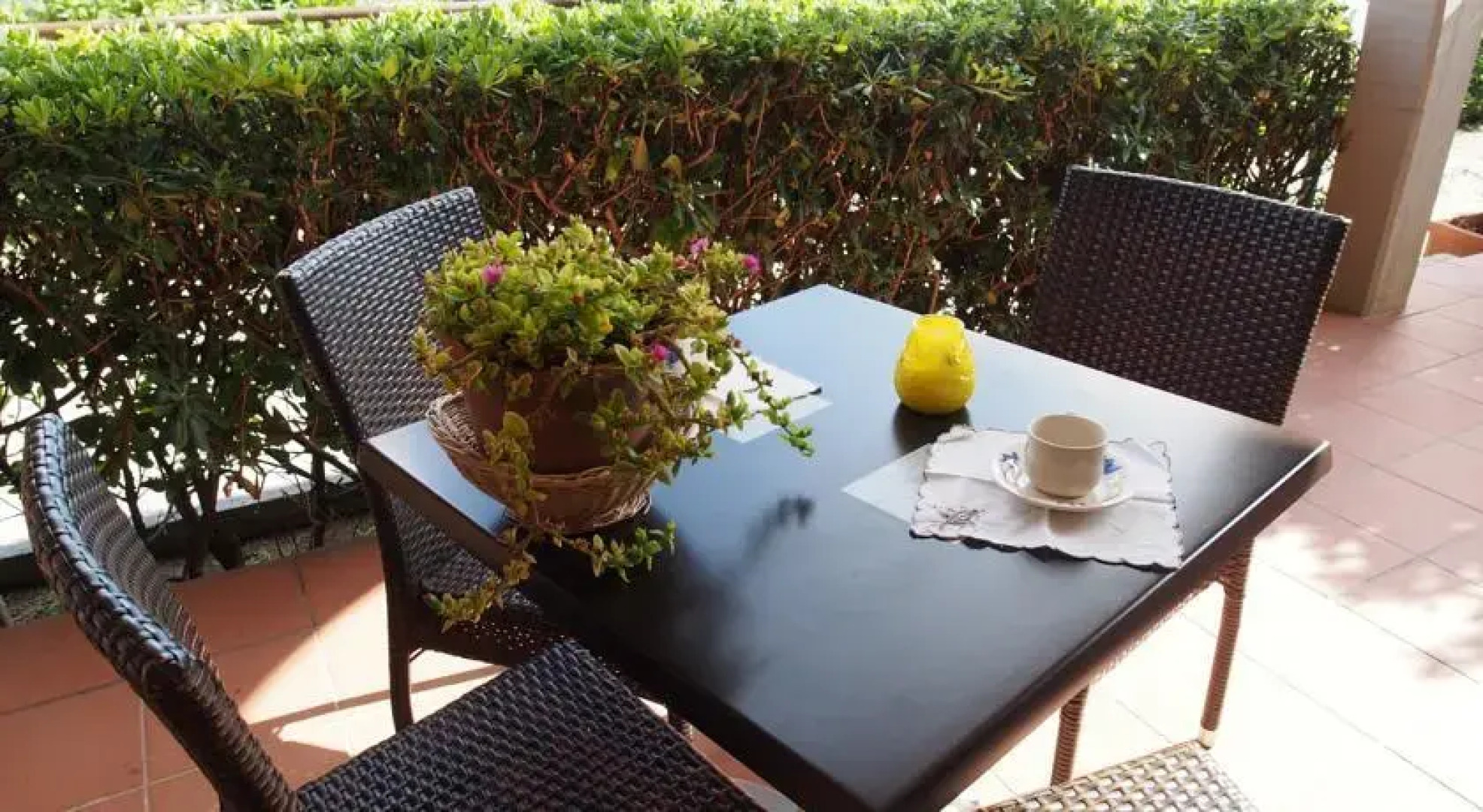 Sun Paradise Apartment