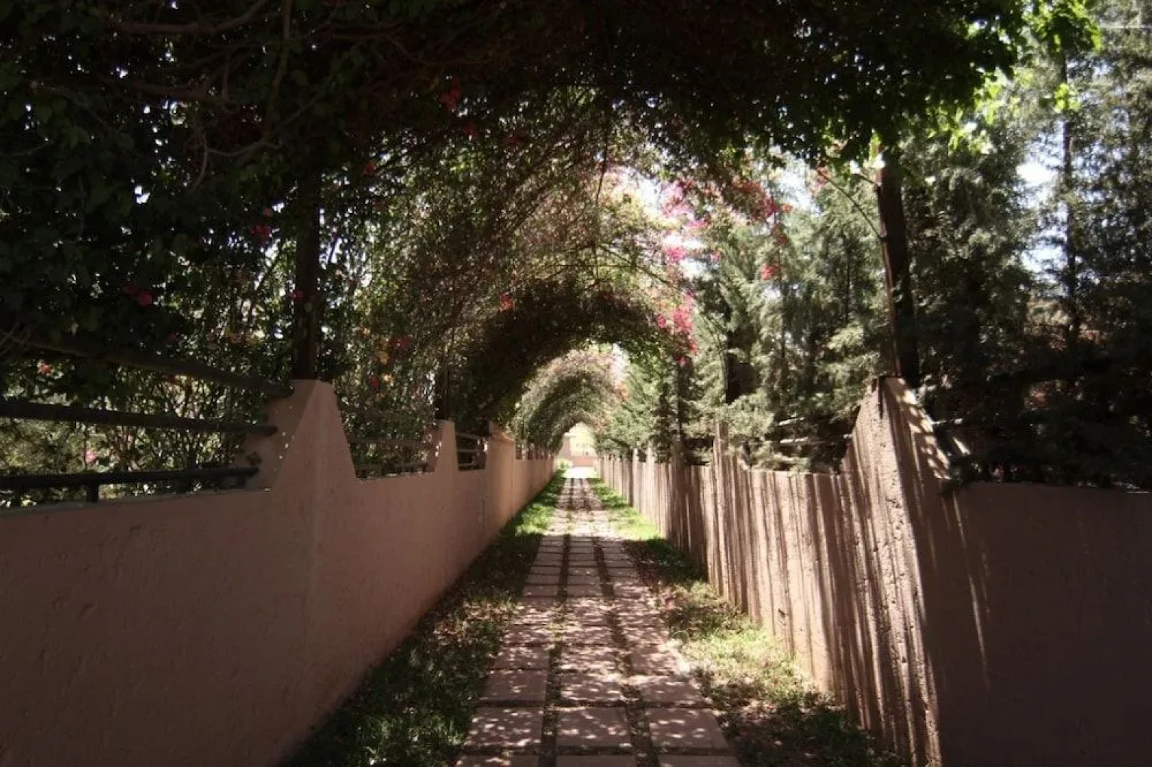 Olivar Palace-Luxury Villa1