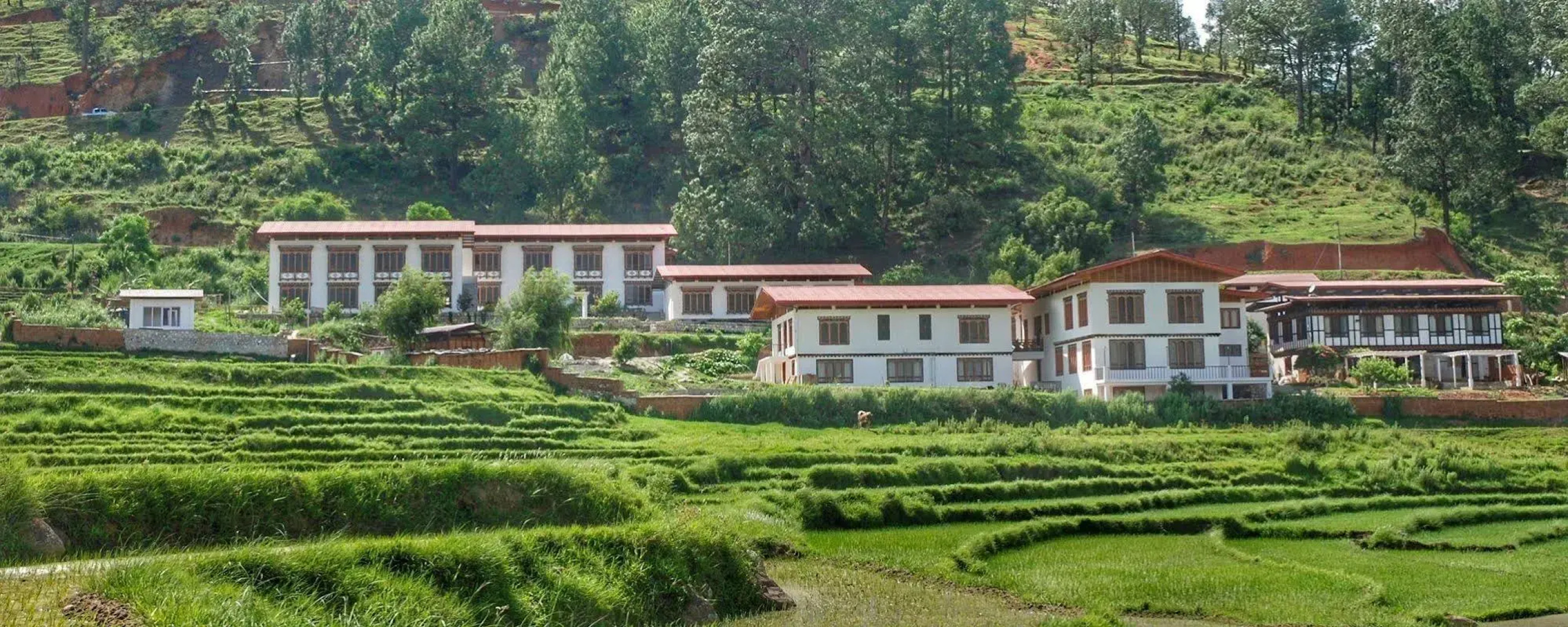 Drubchu Resort
